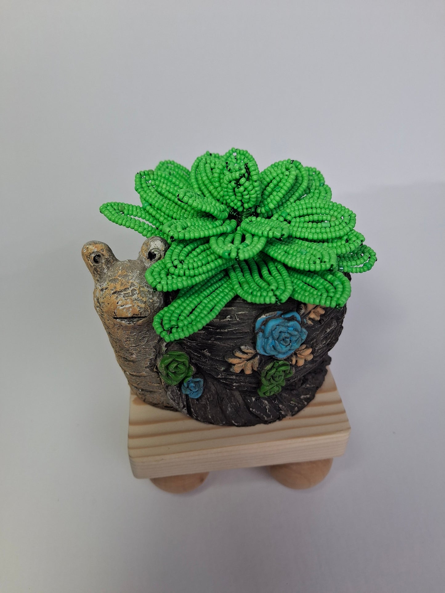 Succulent in Snail Flowerpot