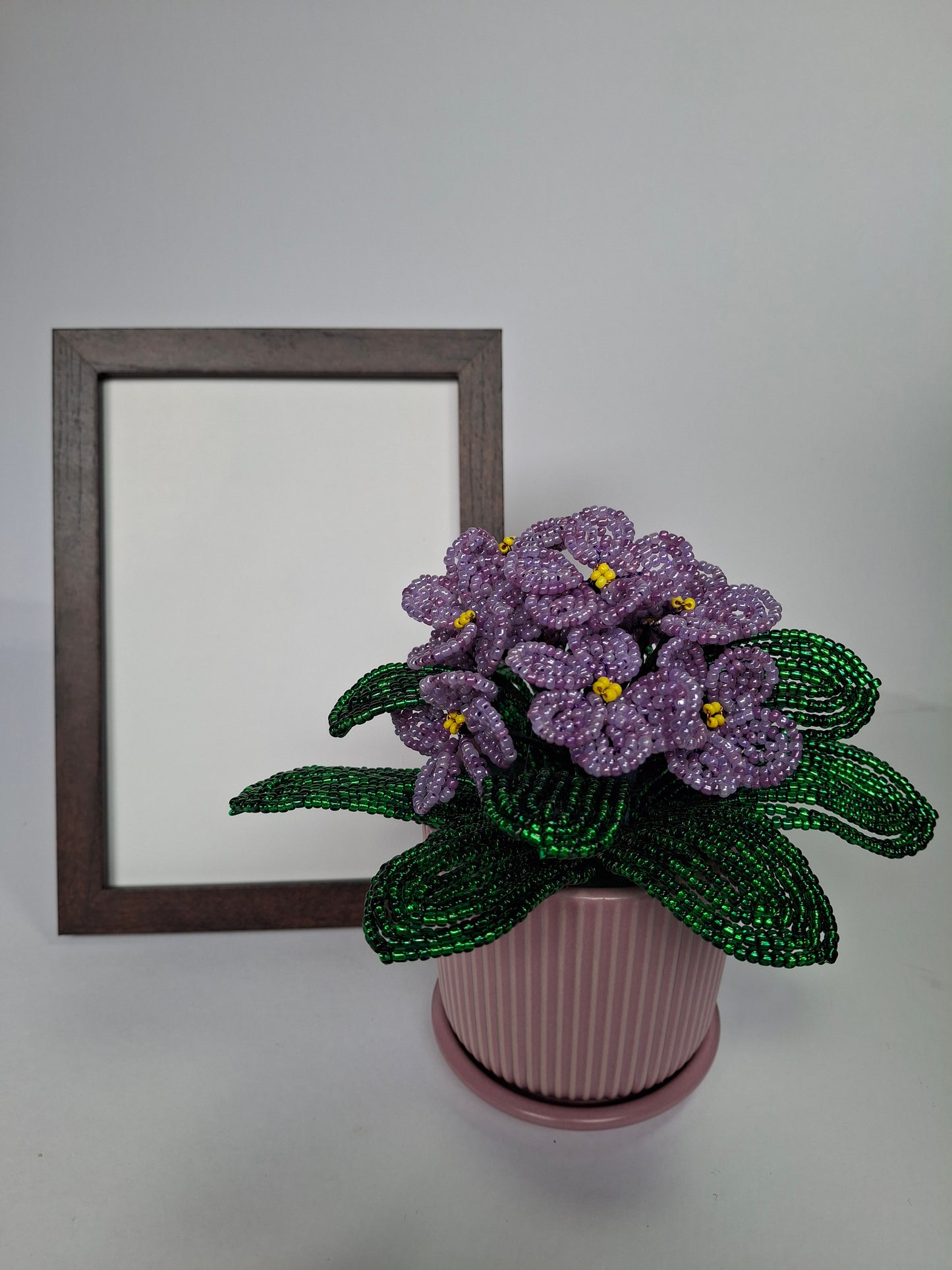 Potted French-beaded Violets