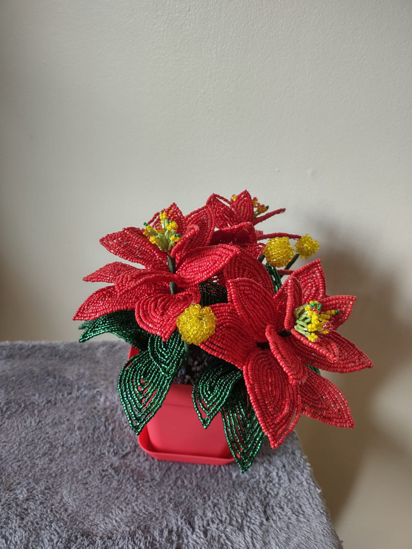 Poinsettia Flower