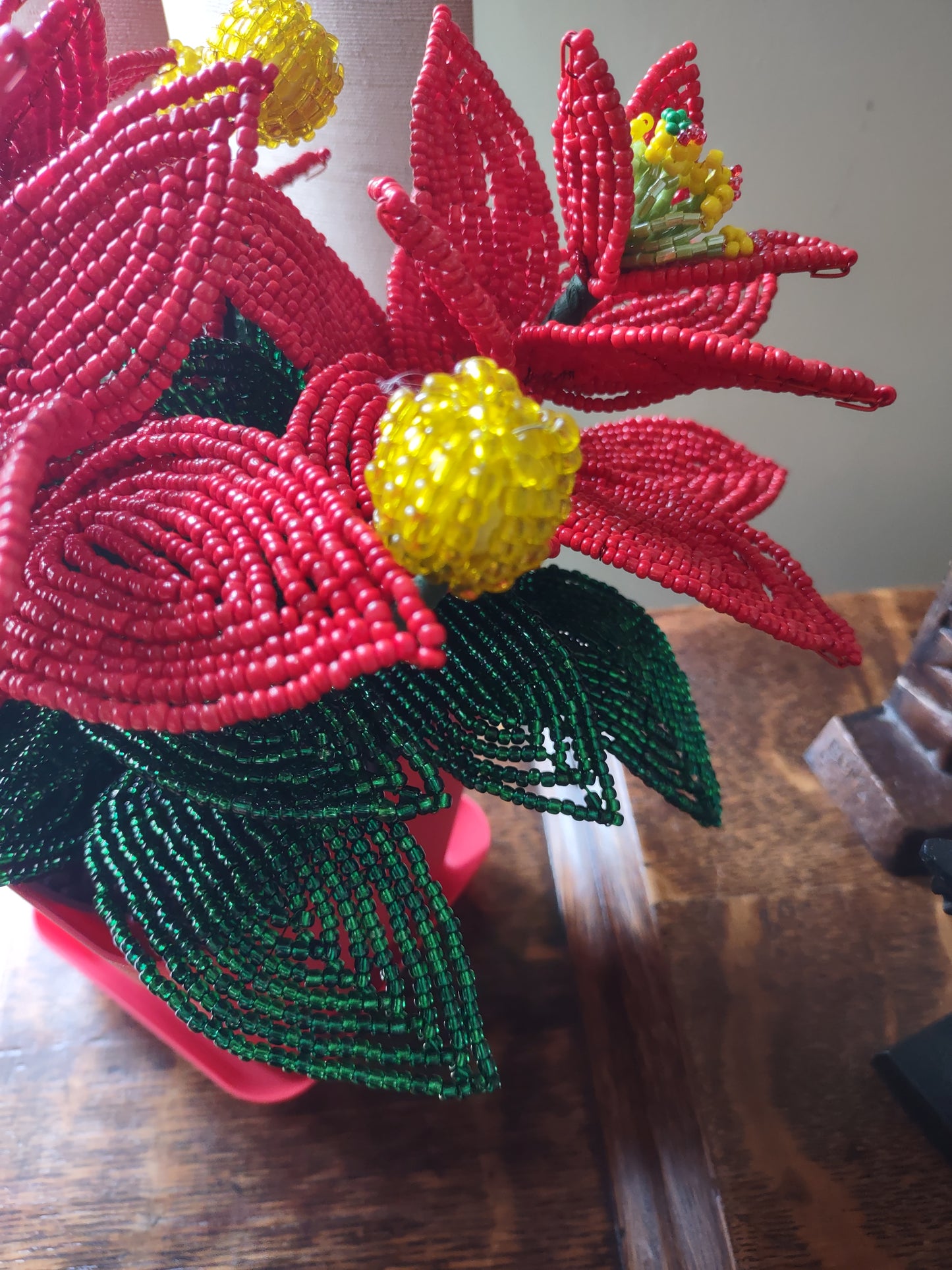 Poinsettia Flower