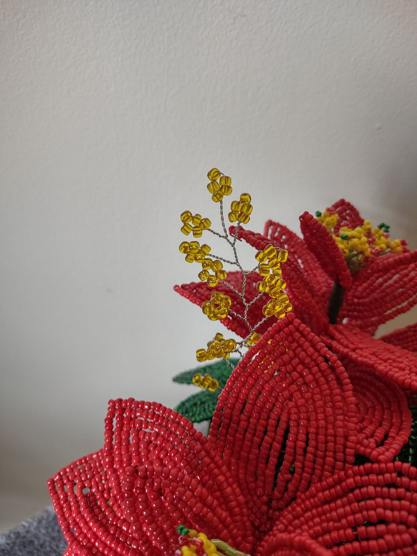 Poinsettia Flower