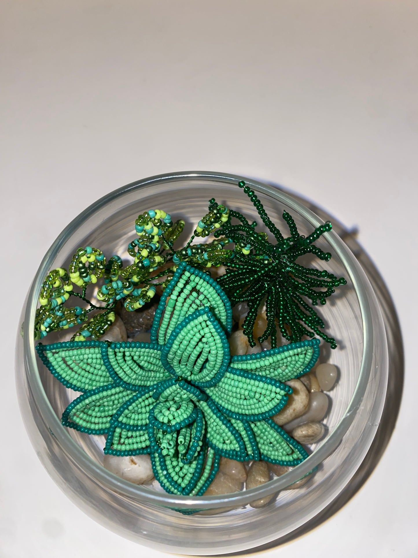 Green Succulent Plant in Glass Bowl
