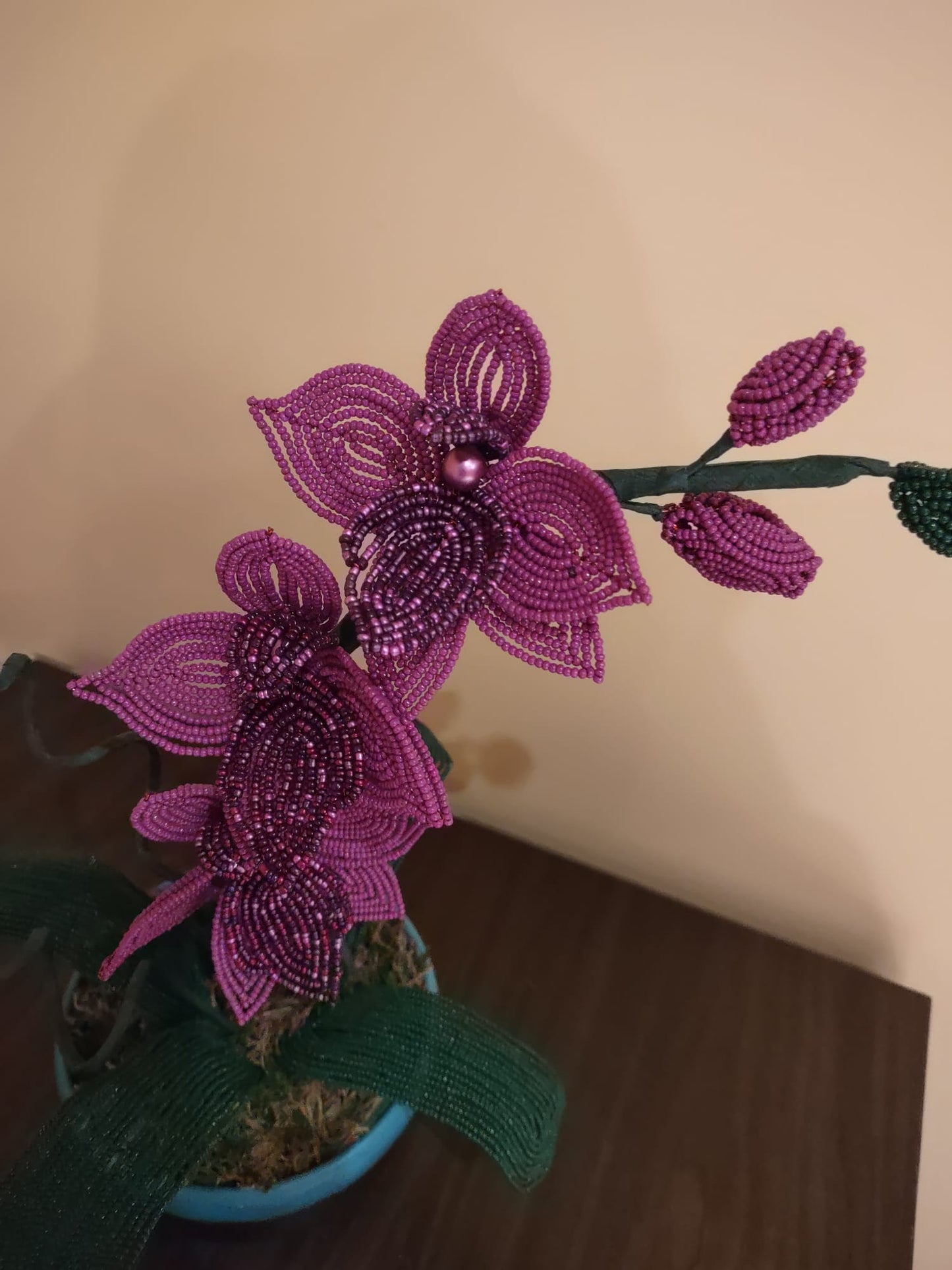 Large Orchid Flower