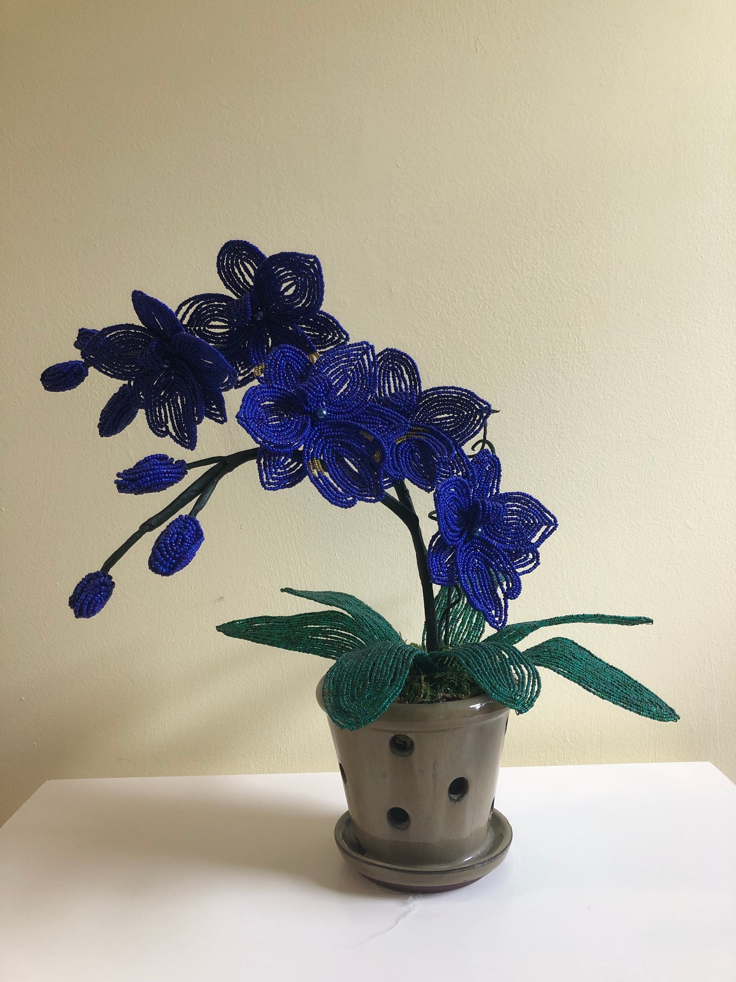 Large Orchid Flower