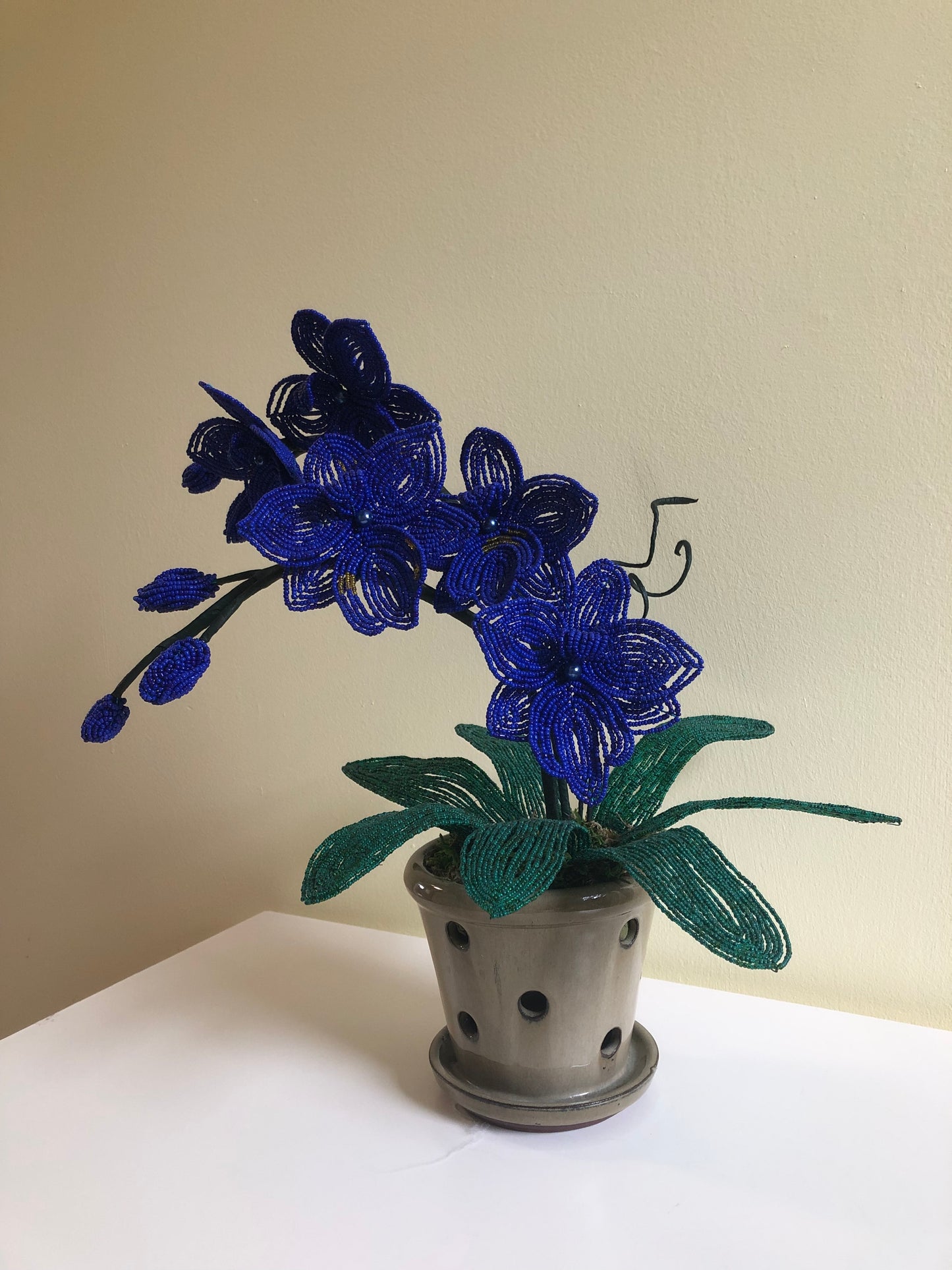 Large Orchid Flower