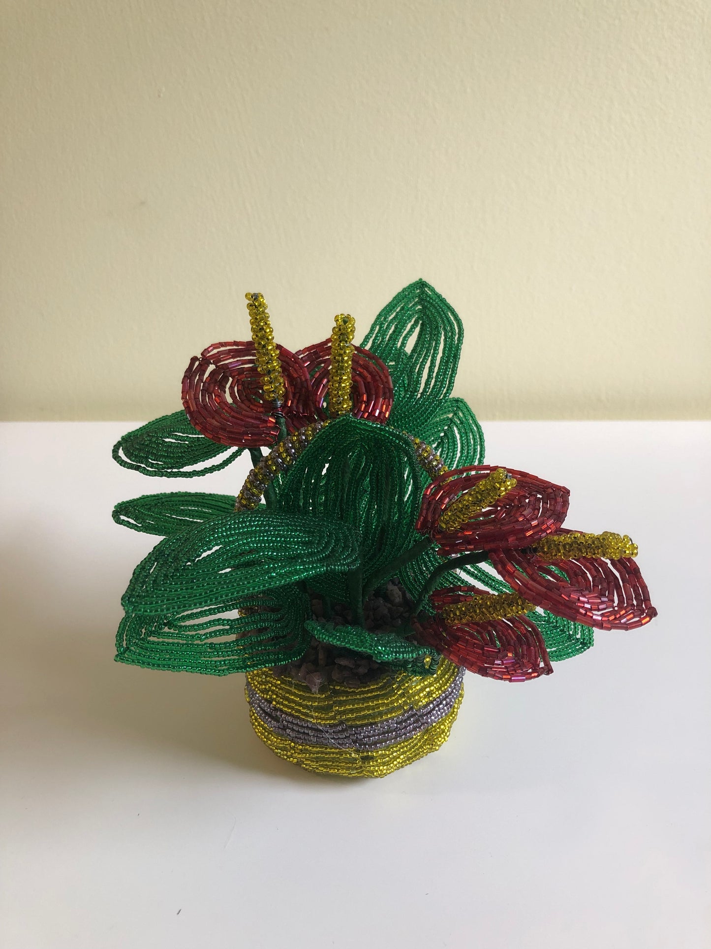 Laceleaf Flower with Basket