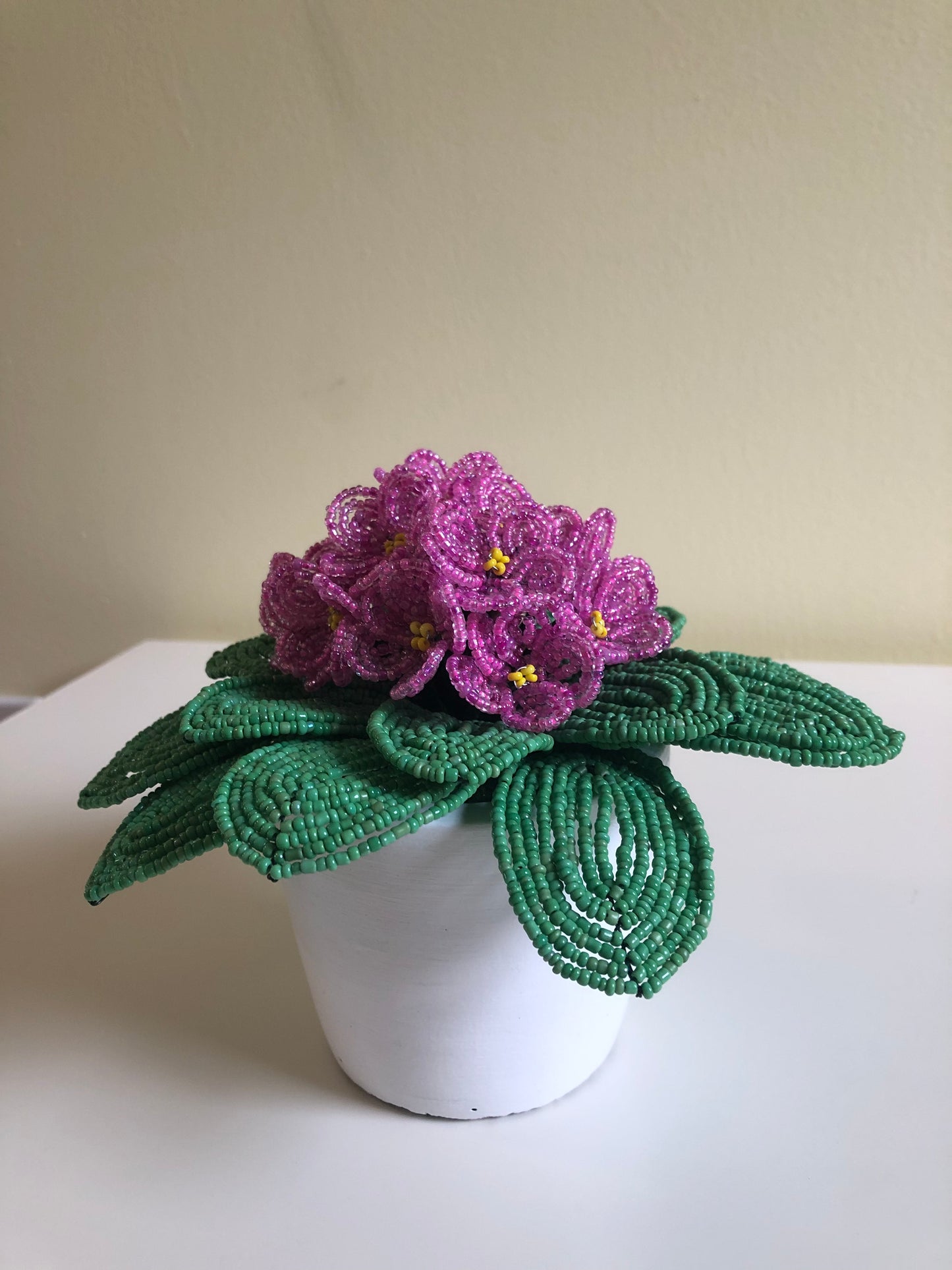 Violet Flower