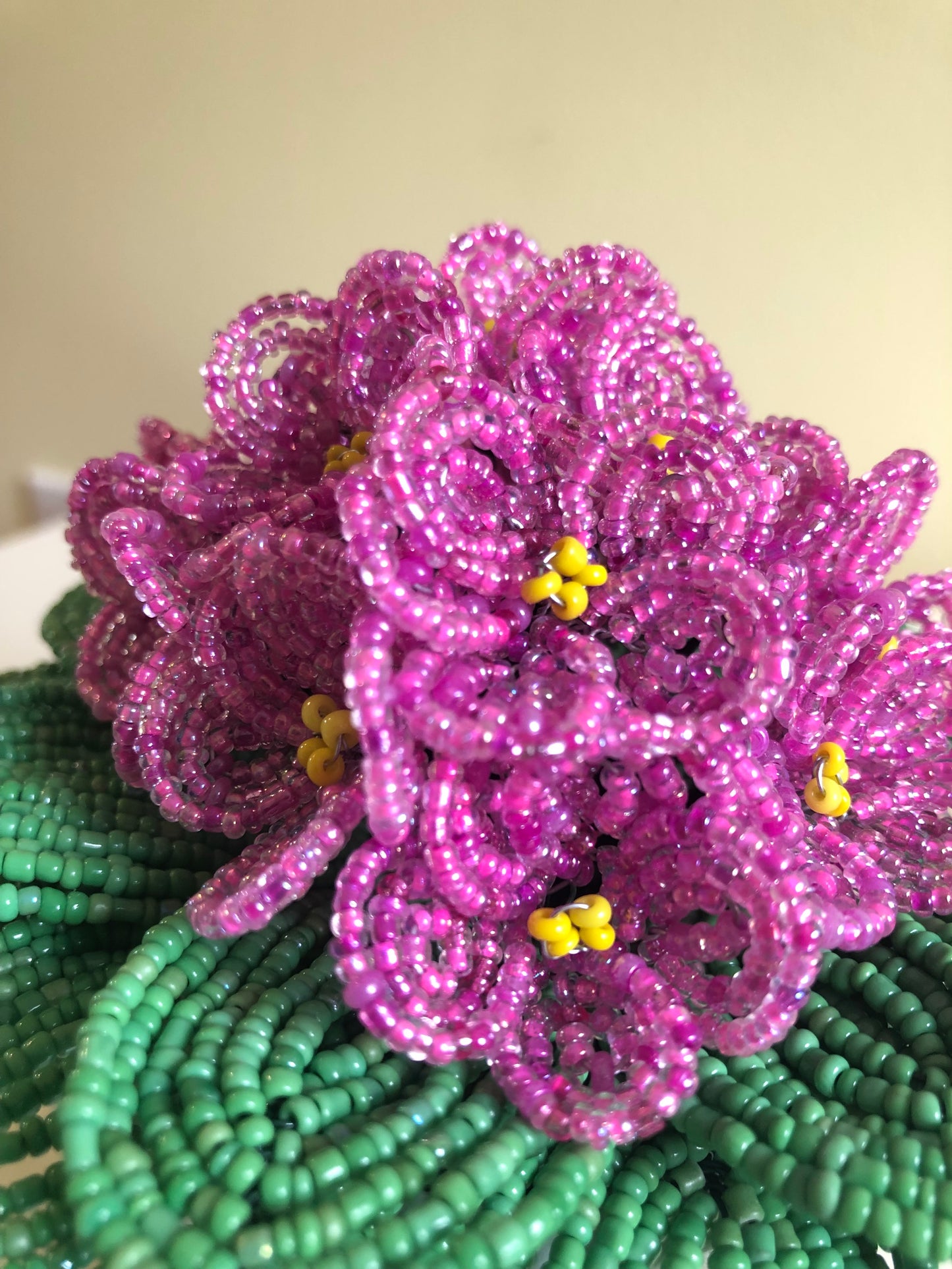 Violet Flower