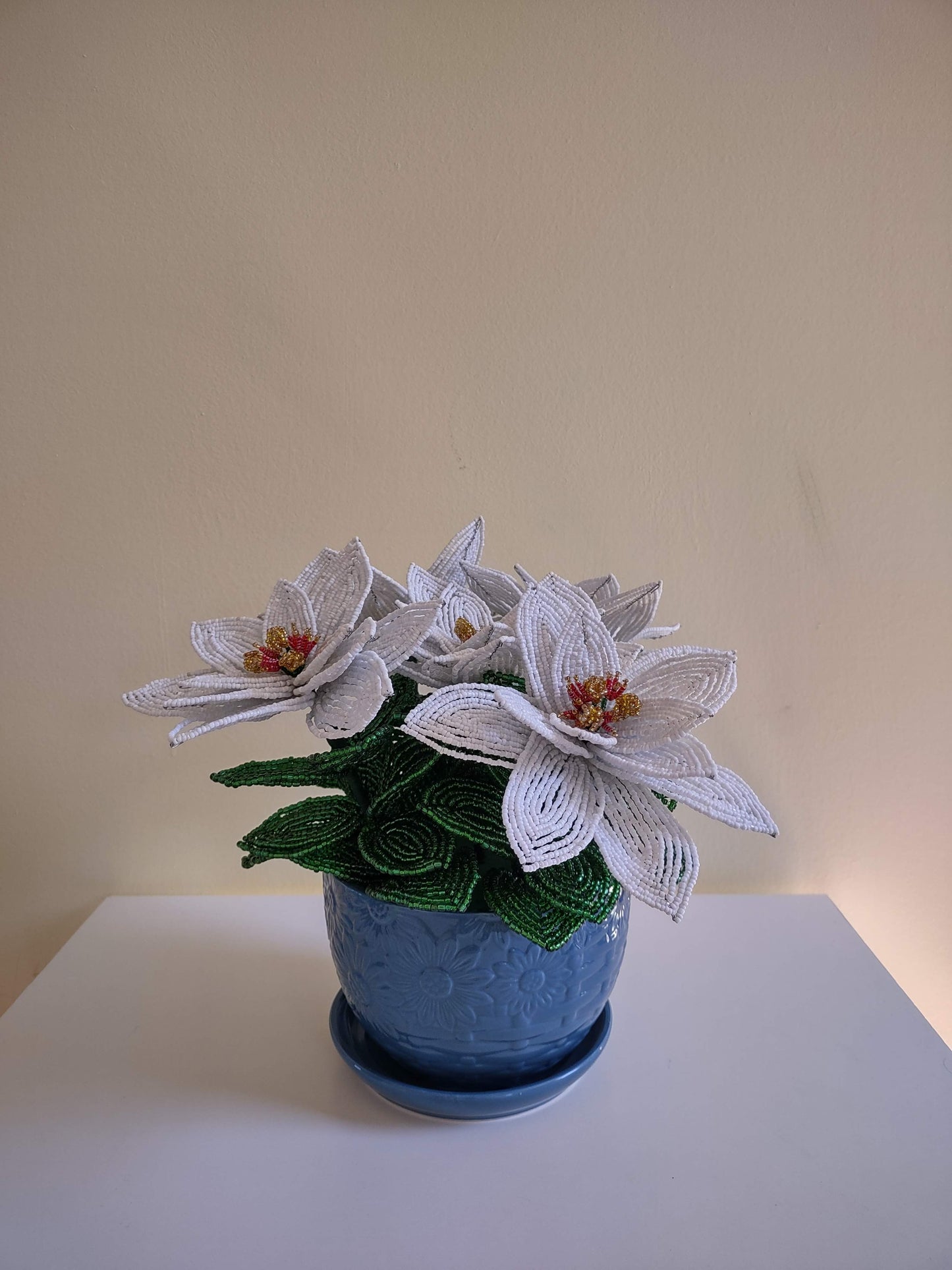 Large White Poinsettia