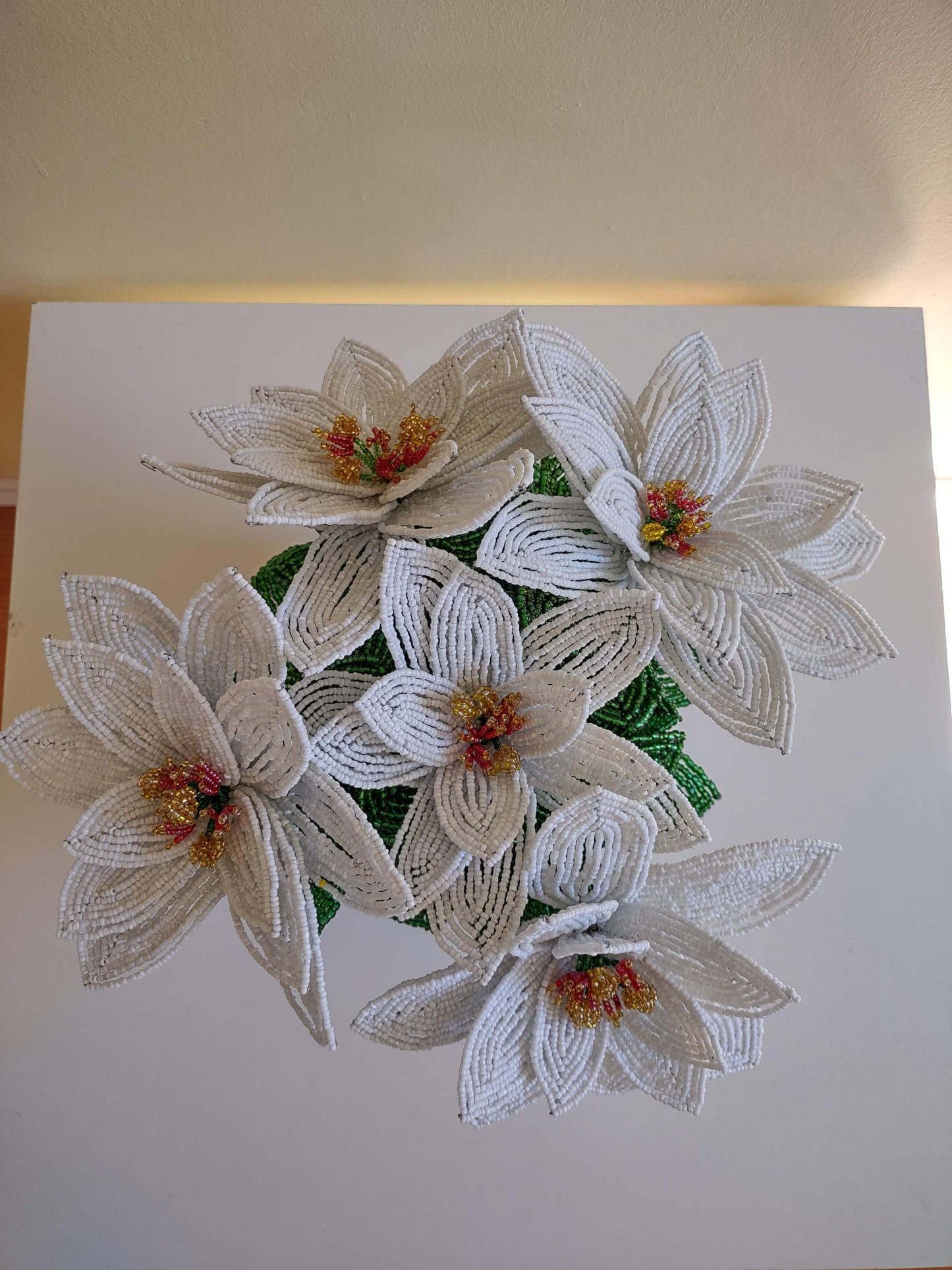 Large White Poinsettia