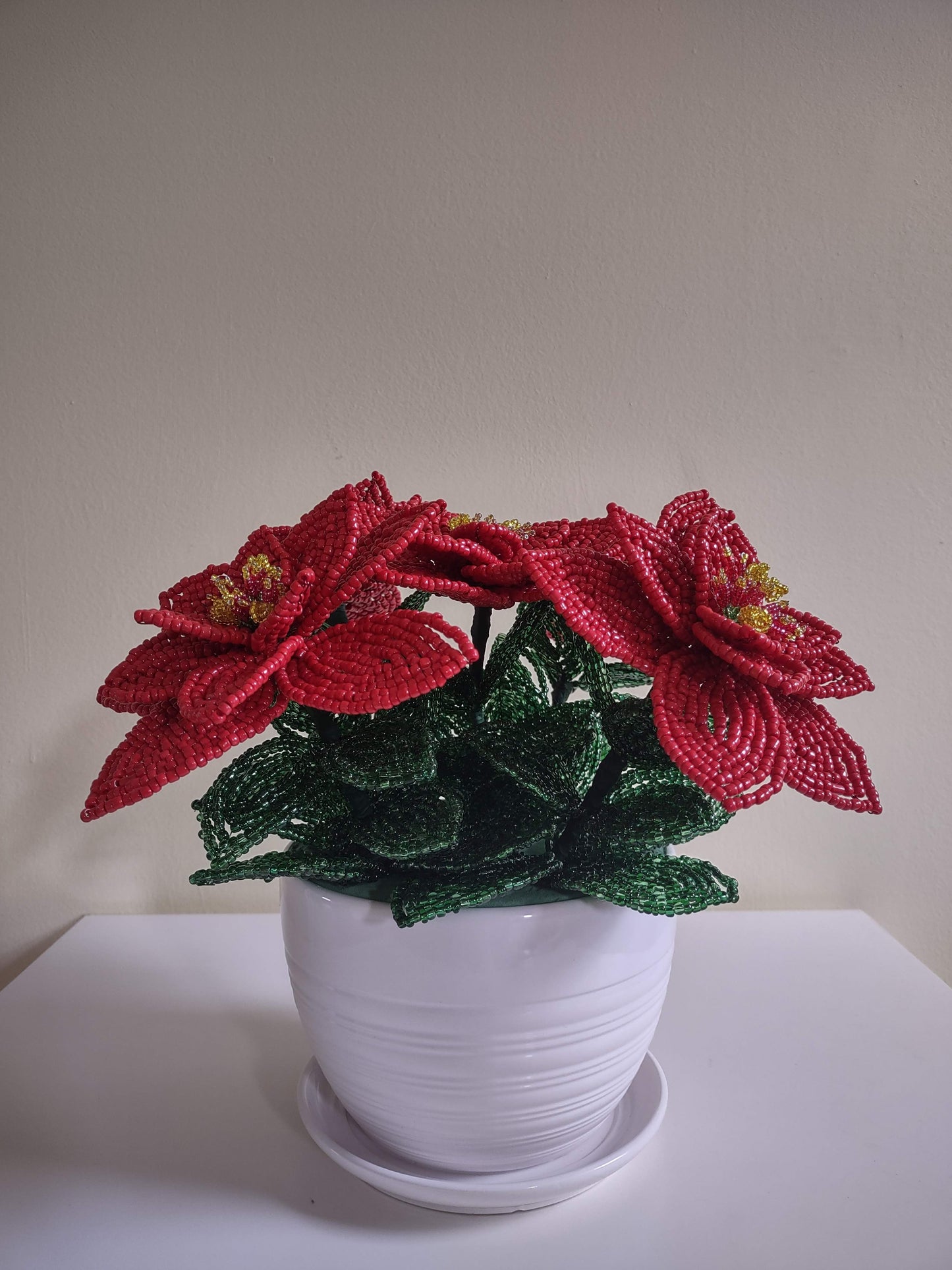 Large Red Poinsettia