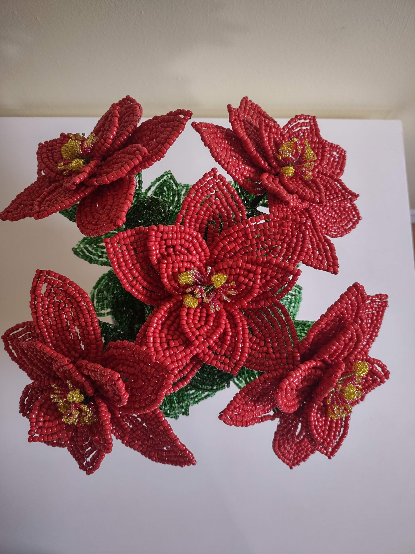 Large Red Poinsettia