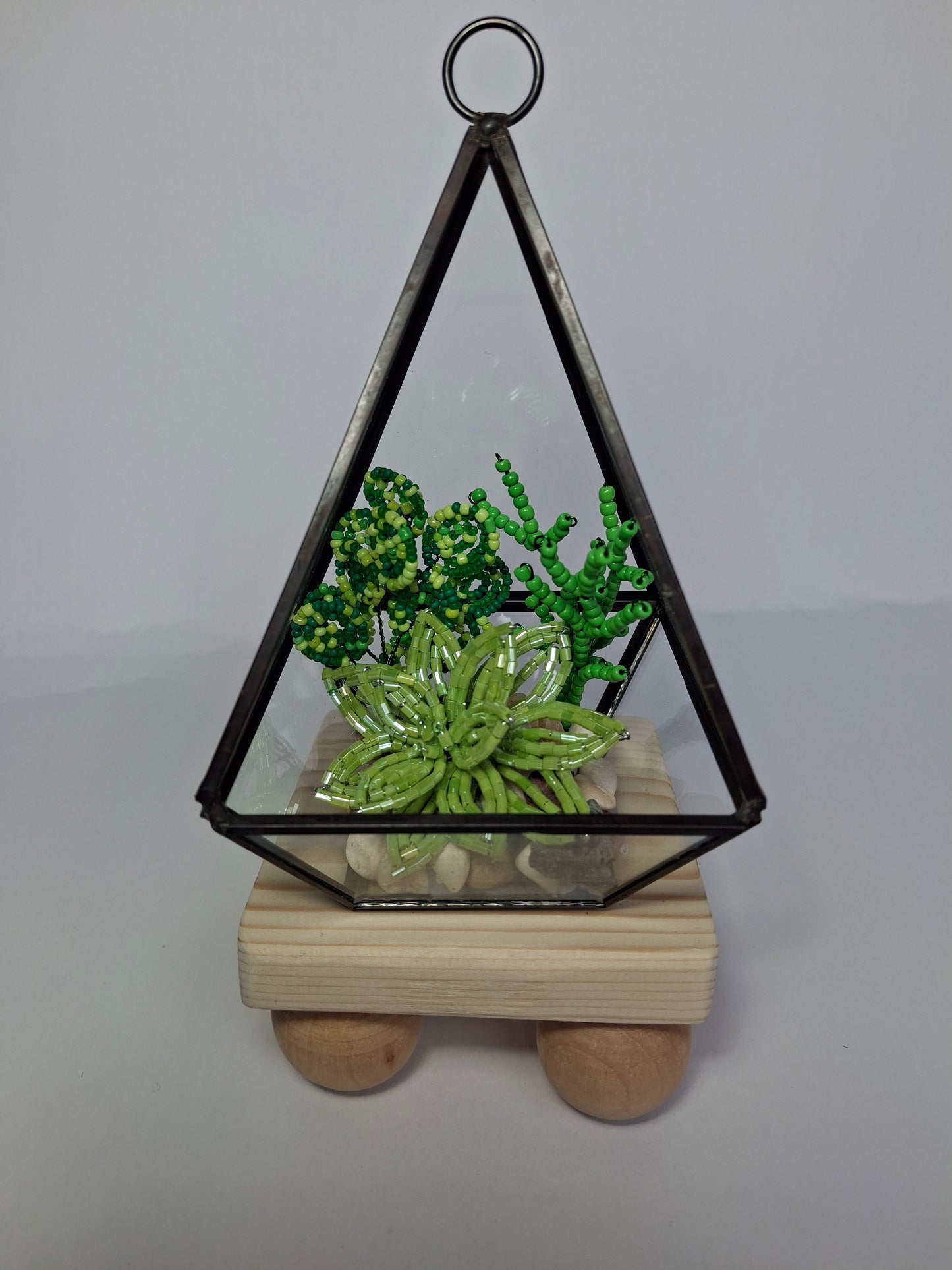 Succulents in Glass Terrarium