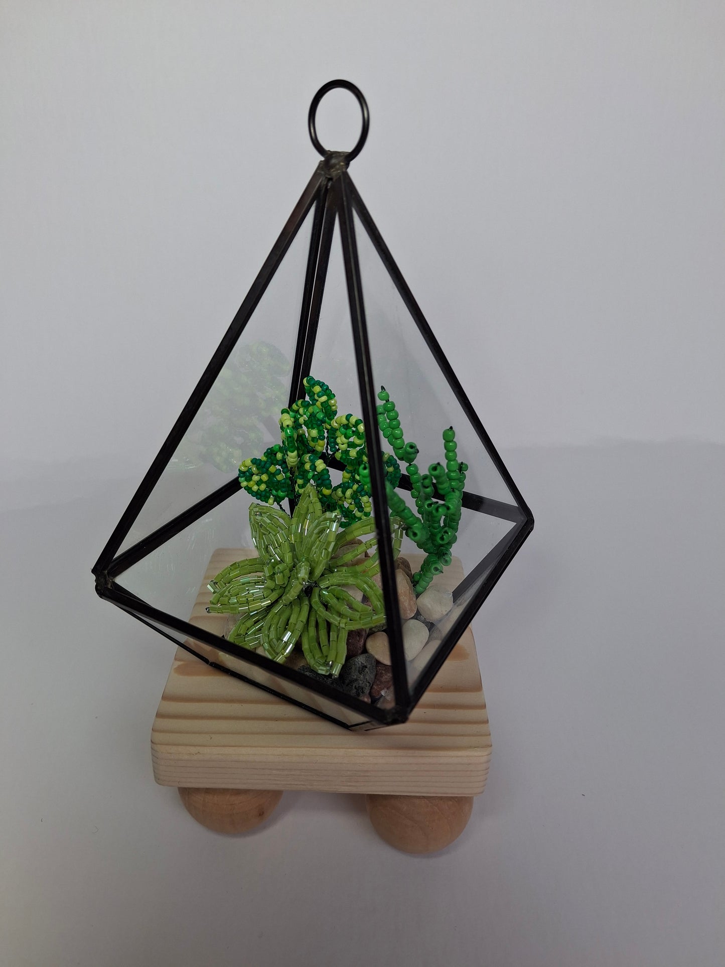 Succulents in Glass Terrarium
