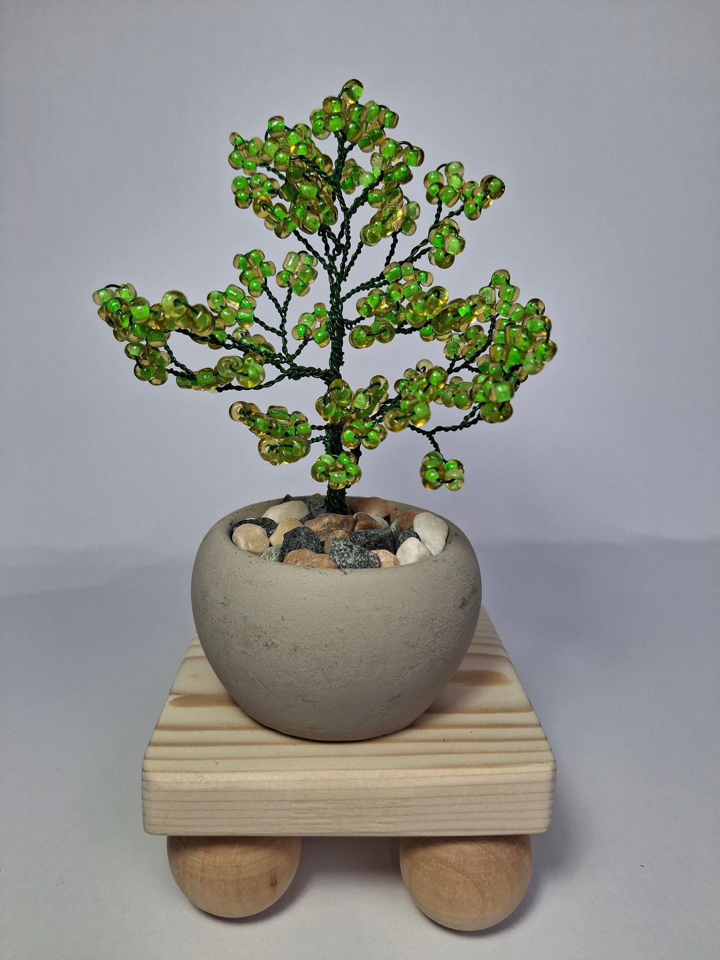 Mini Bonsai Tree