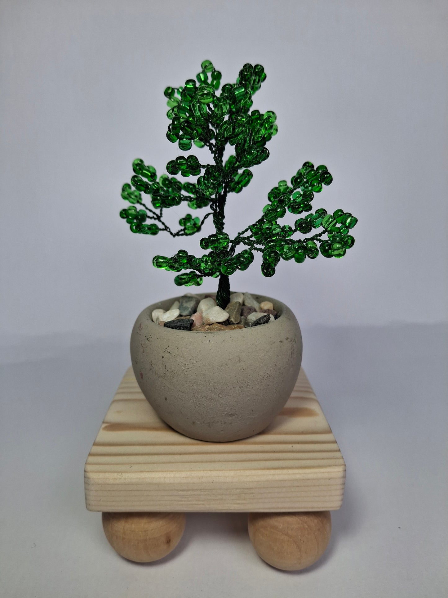 Mini Bonsai Tree