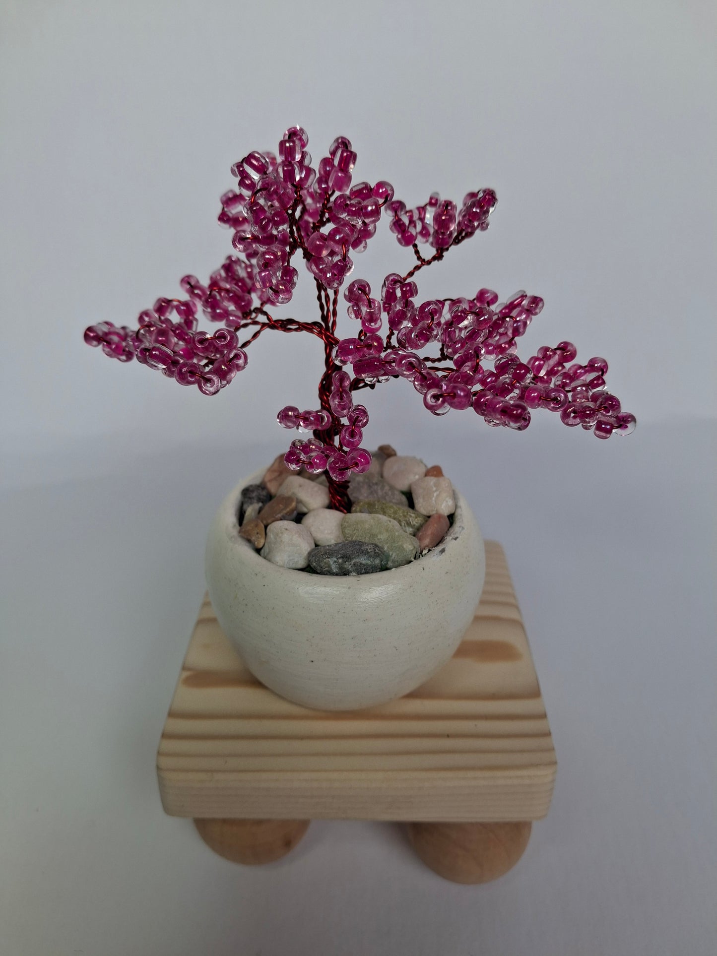 Mini Bonsai Tree
