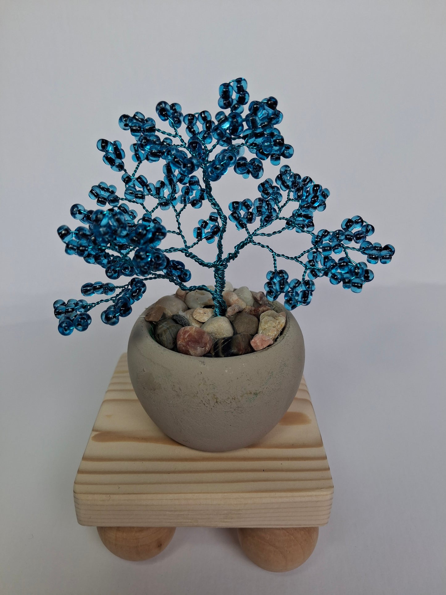 Mini Bonsai Tree