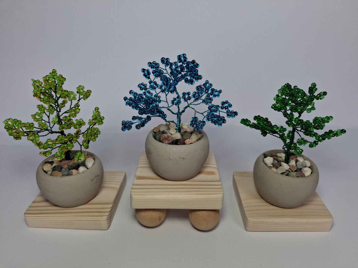 Mini Bonsai Tree