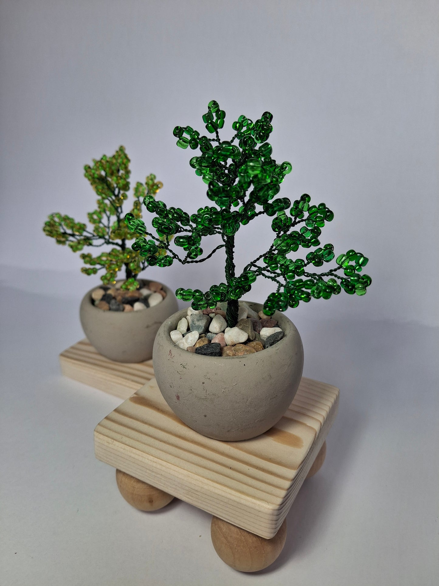 Mini Bonsai Tree
