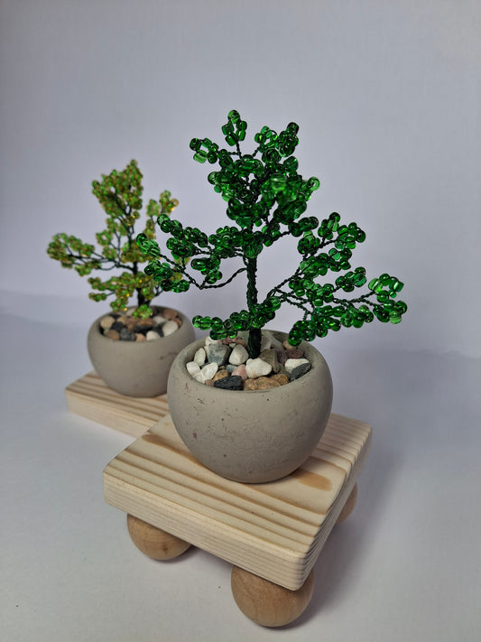 Mini Bonsai Tree