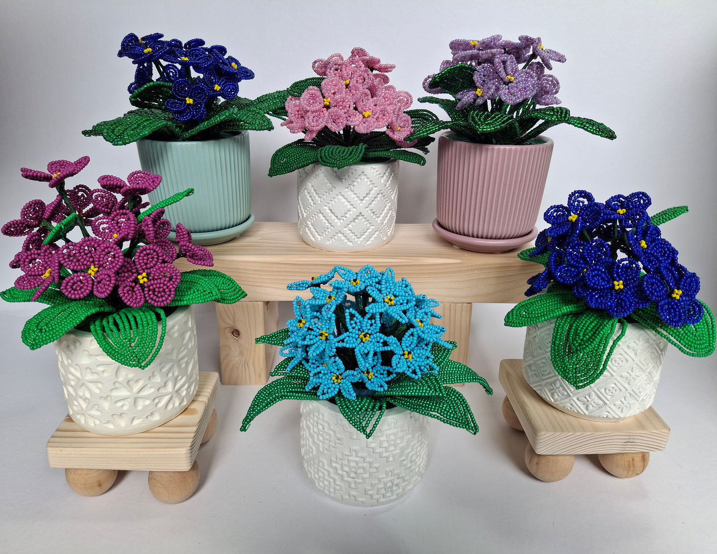 Potted French-beaded Violets
