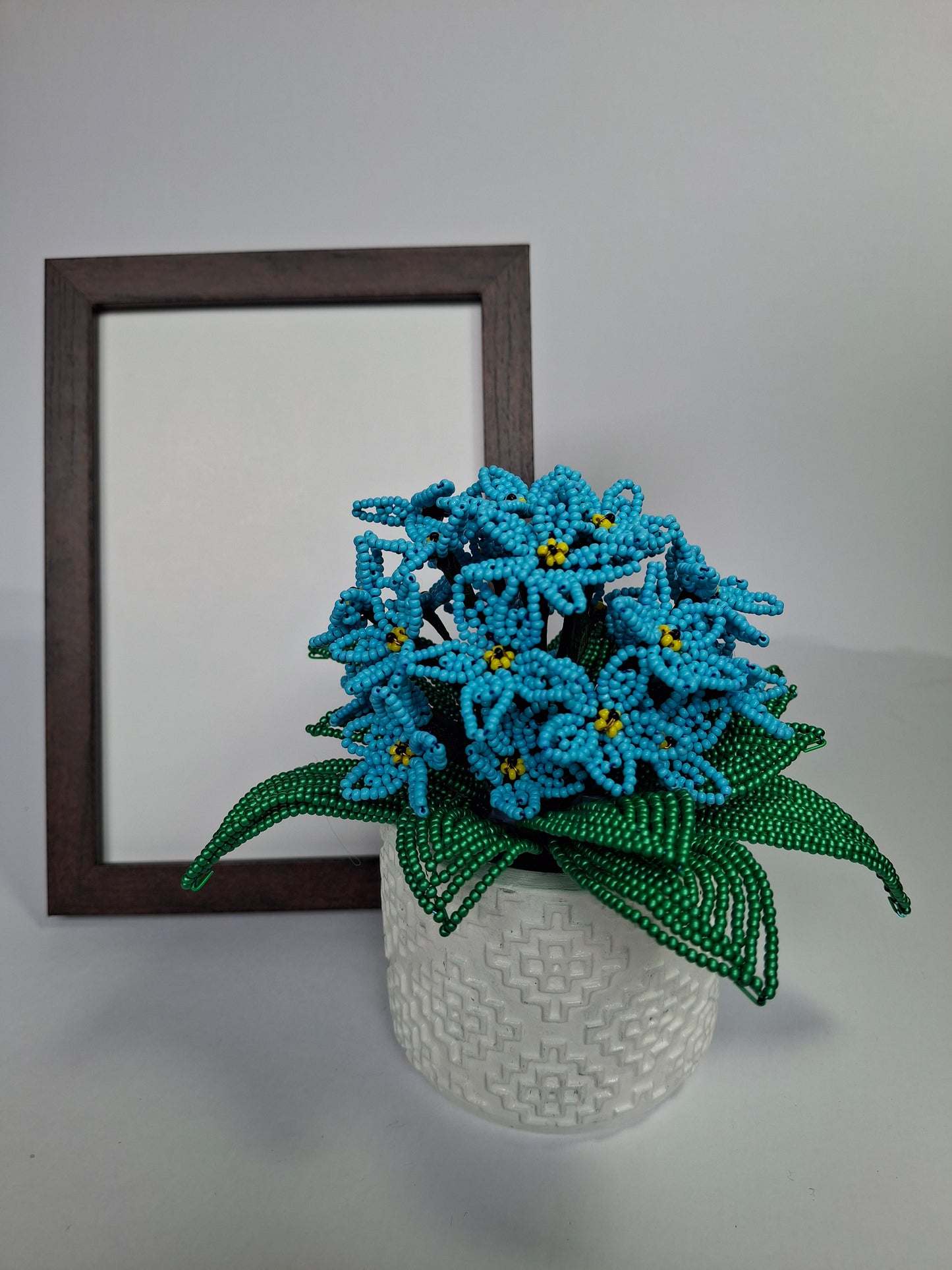 Potted French-beaded Violets