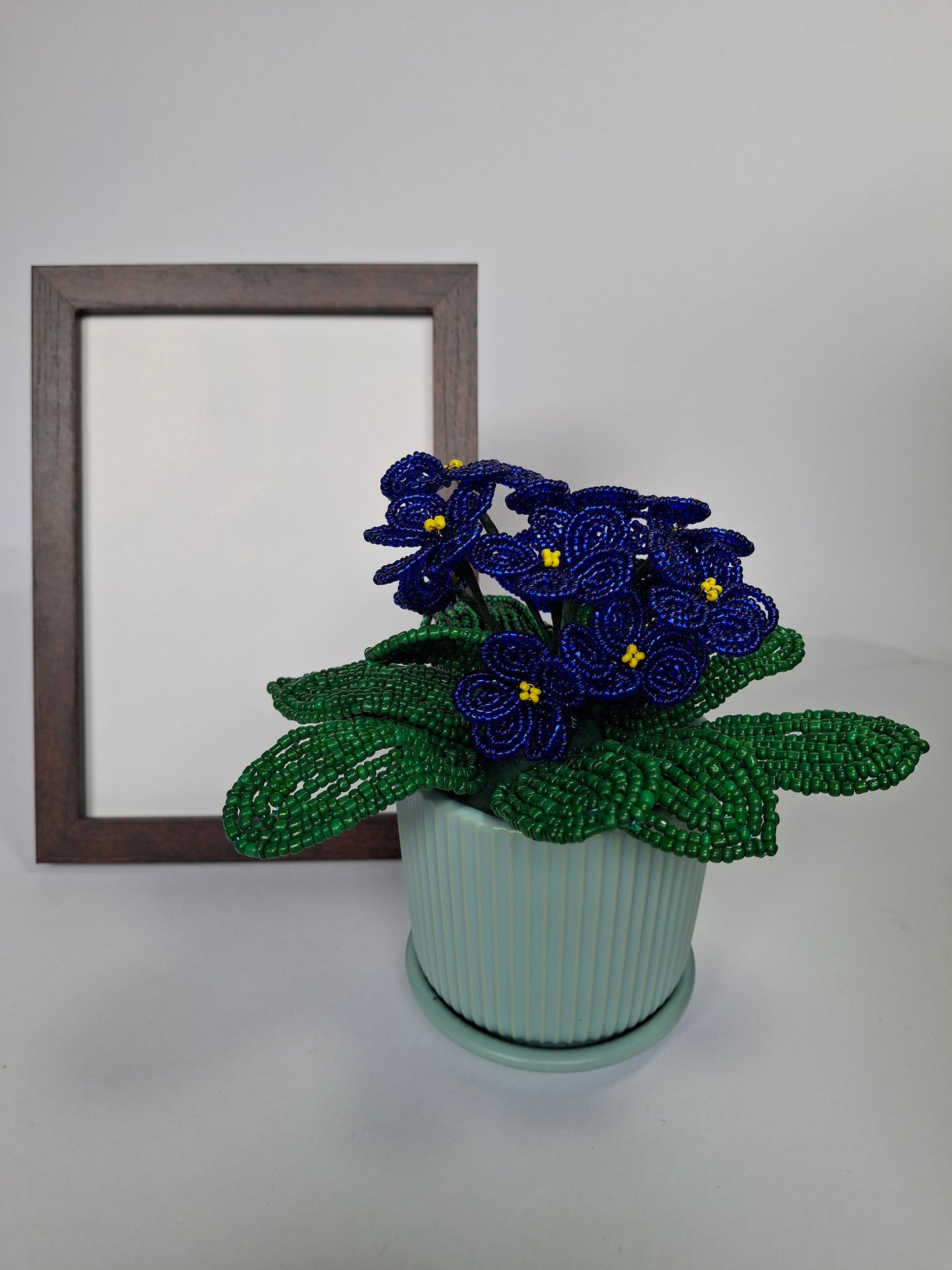 Potted French-beaded Violets