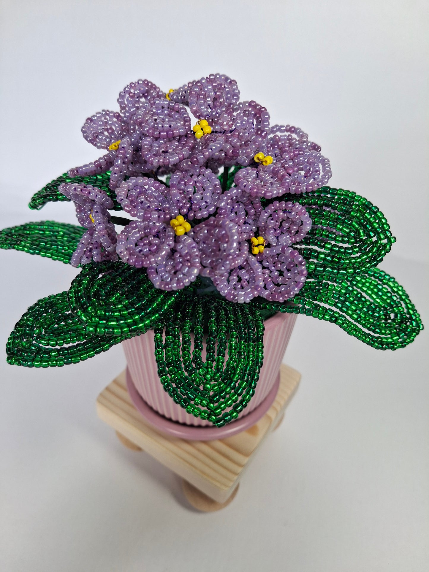 Potted French-beaded Violets