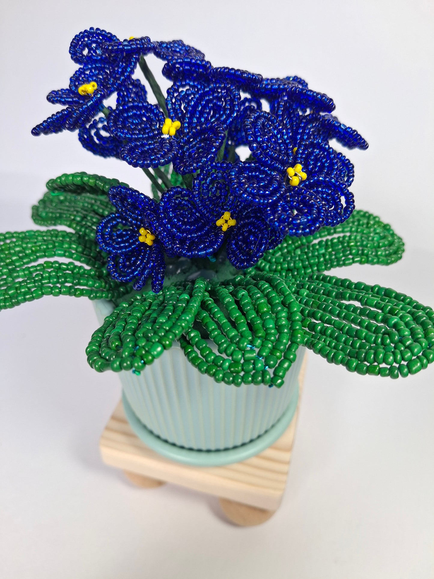 Potted French-beaded Violets