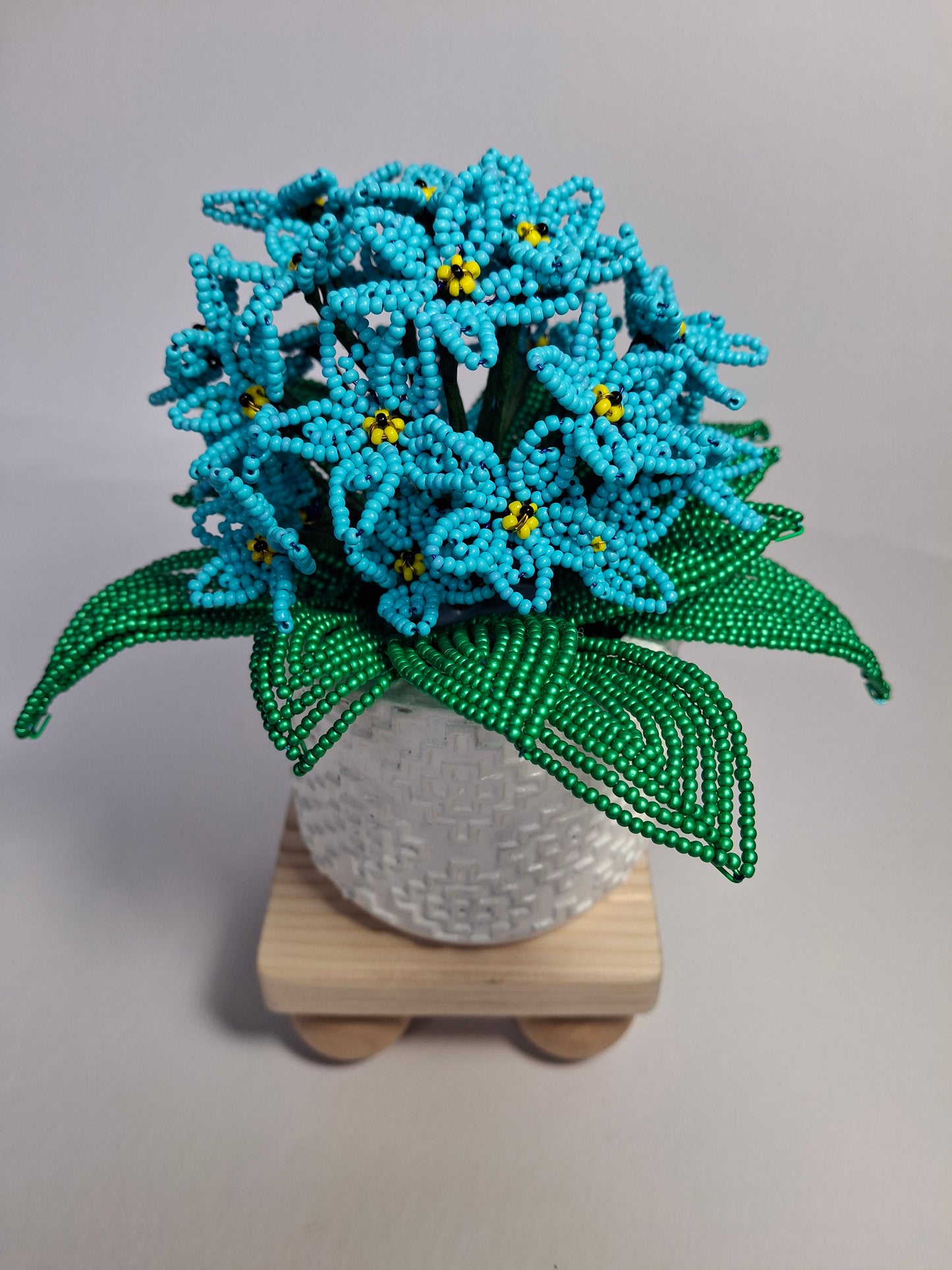 Potted French-beaded Violets