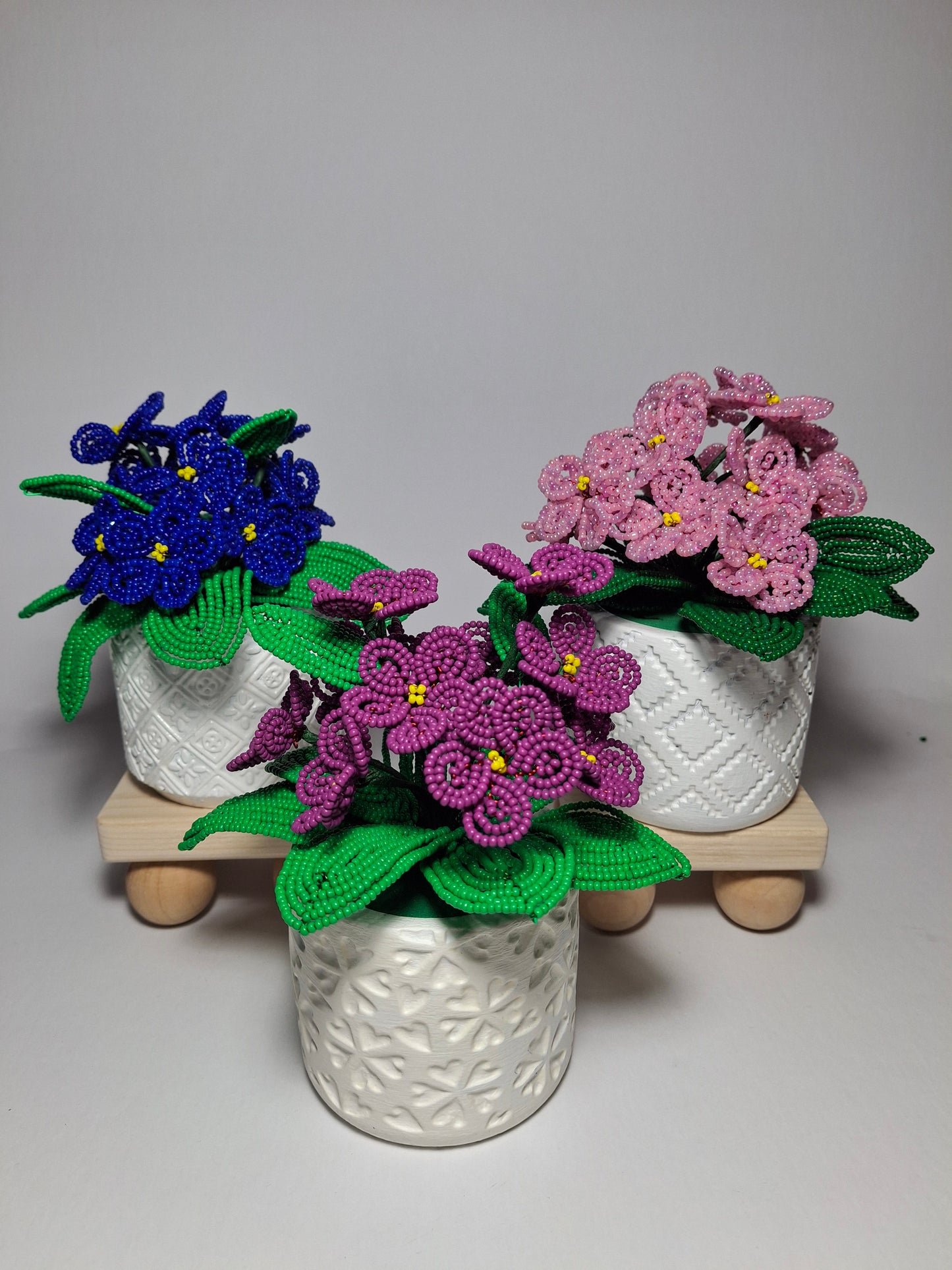 Potted French-beaded Violets