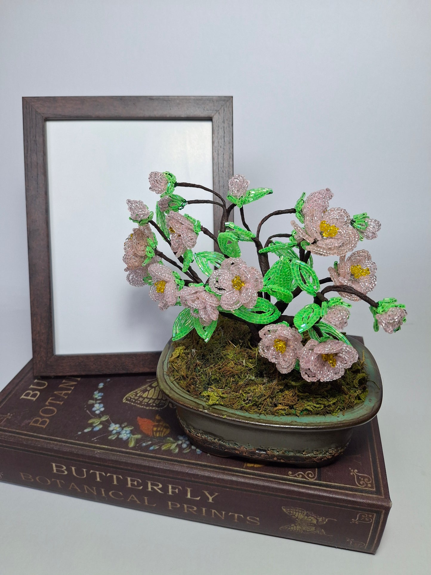 Cherry Blossom Bonsai Tree