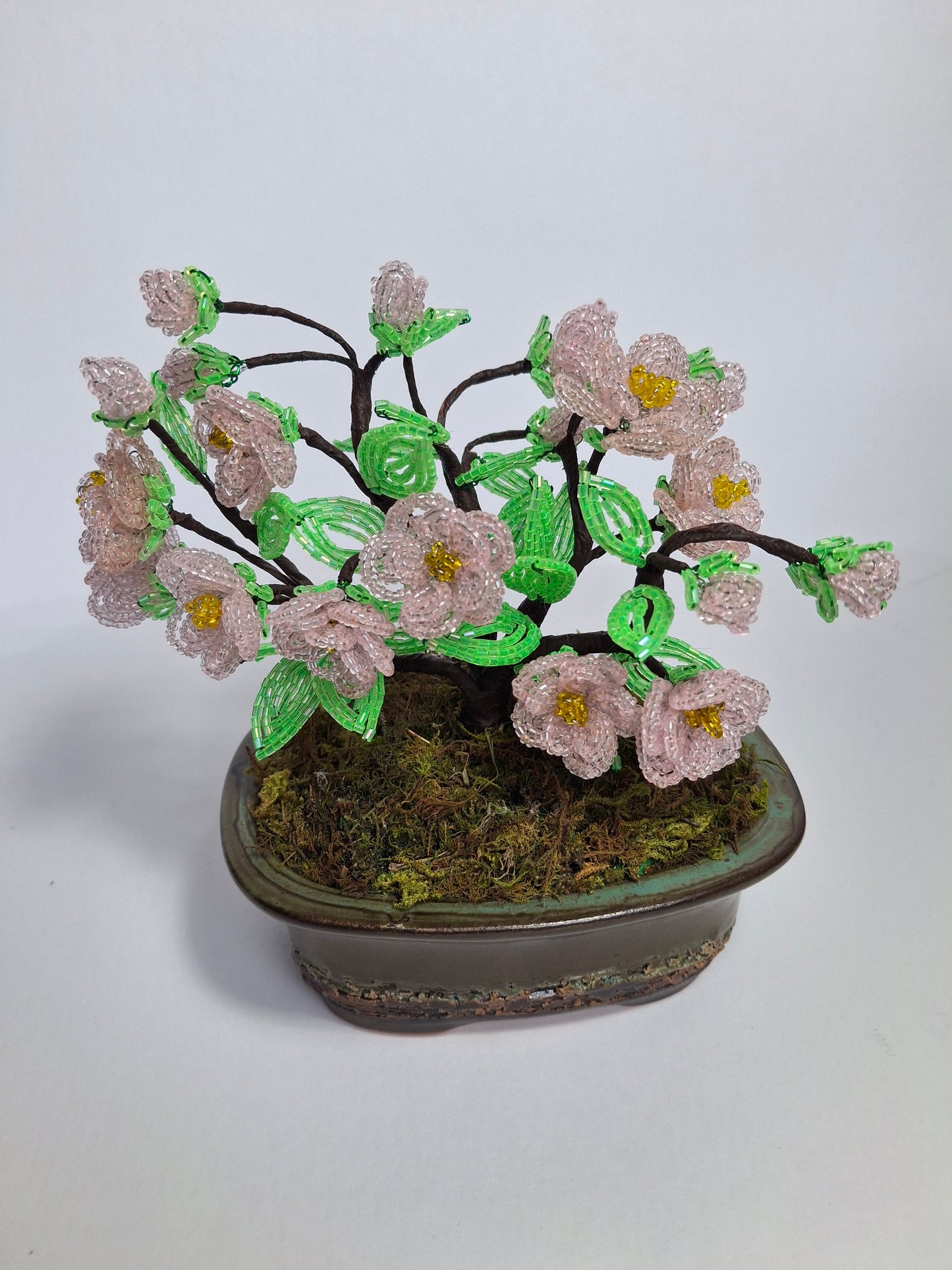 Cherry Blossom Bonsai Tree