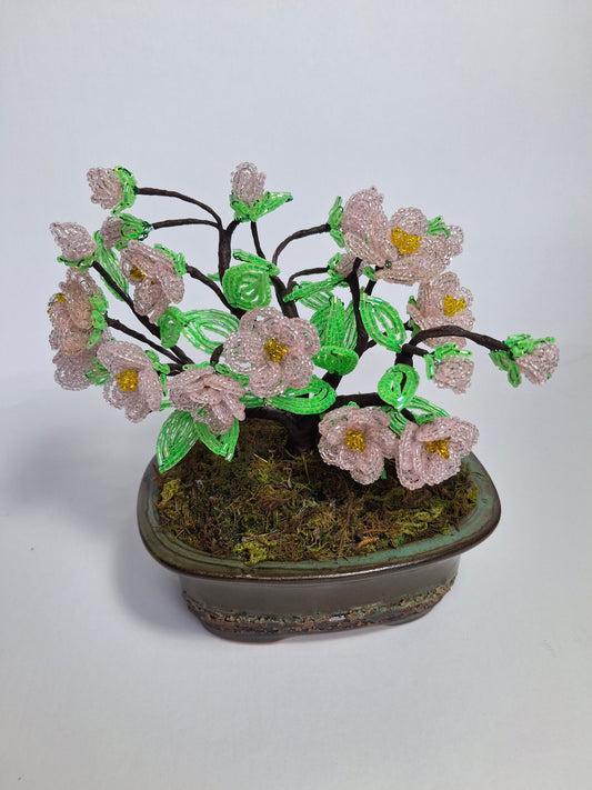 Cherry Blossom Bonsai Tree