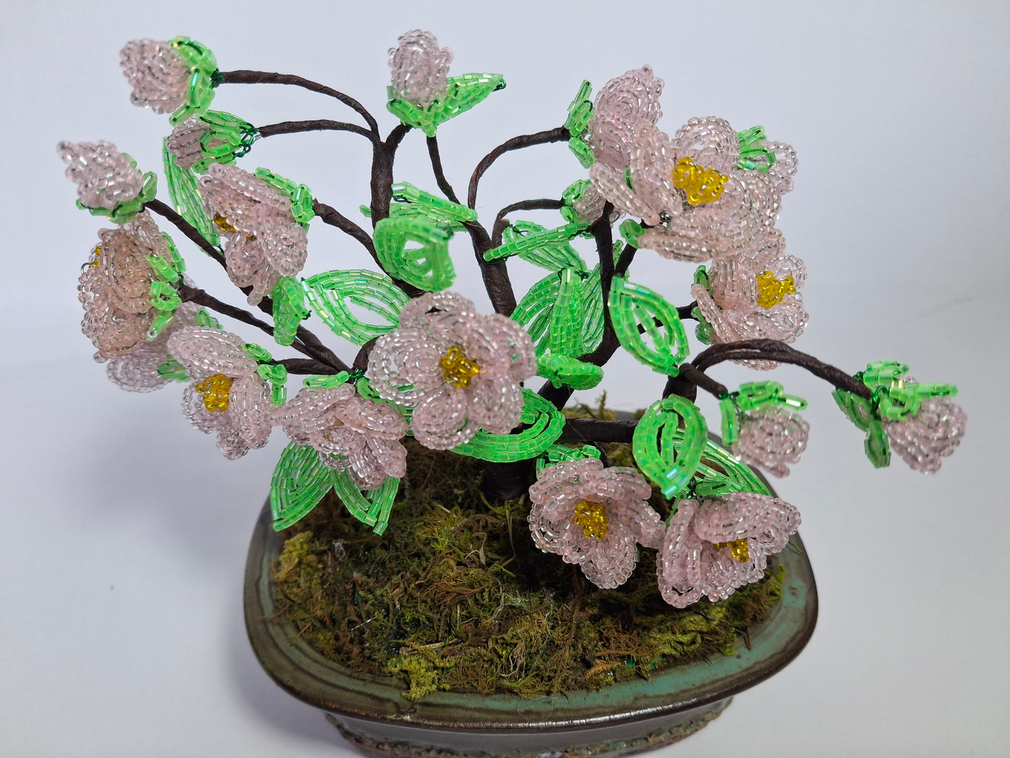 Cherry Blossom Bonsai Tree