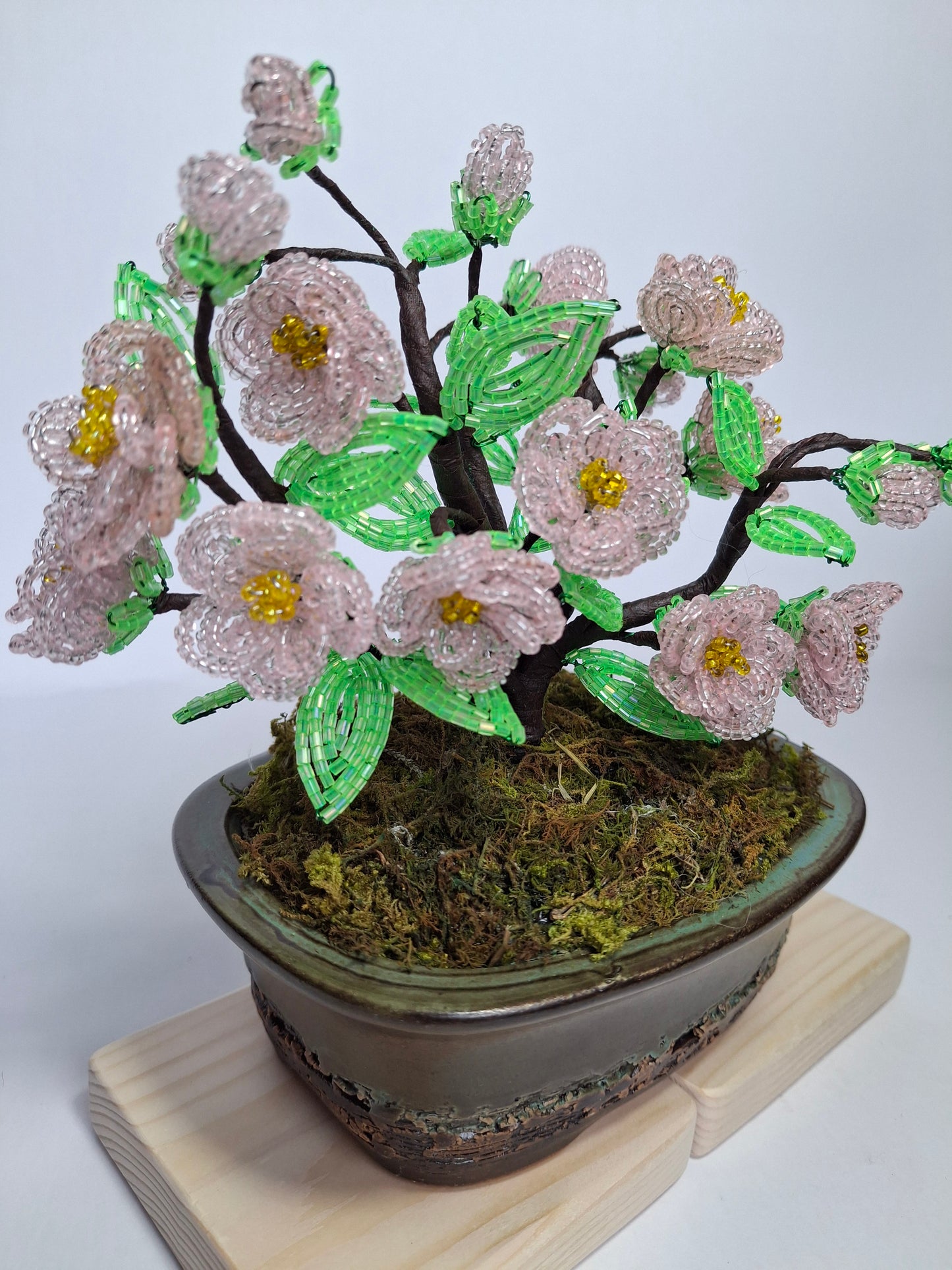 Cherry Blossom Bonsai Tree