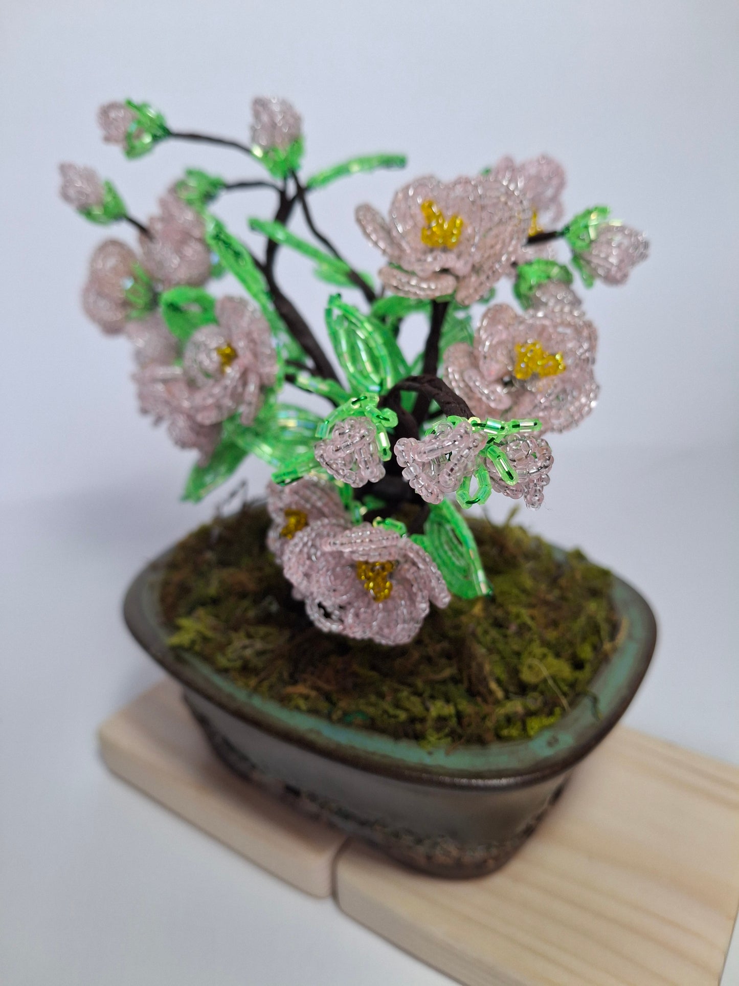 Cherry Blossom Bonsai Tree