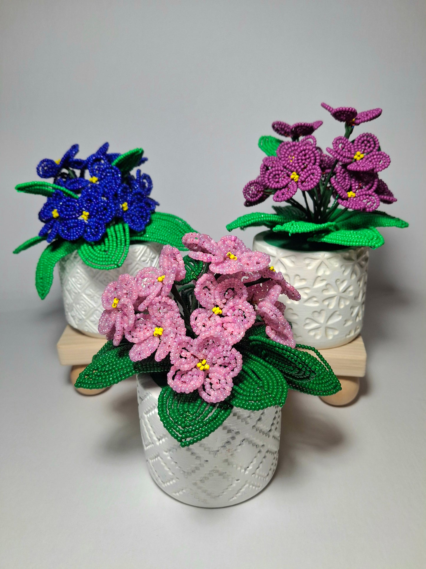 Potted French-beaded Violets