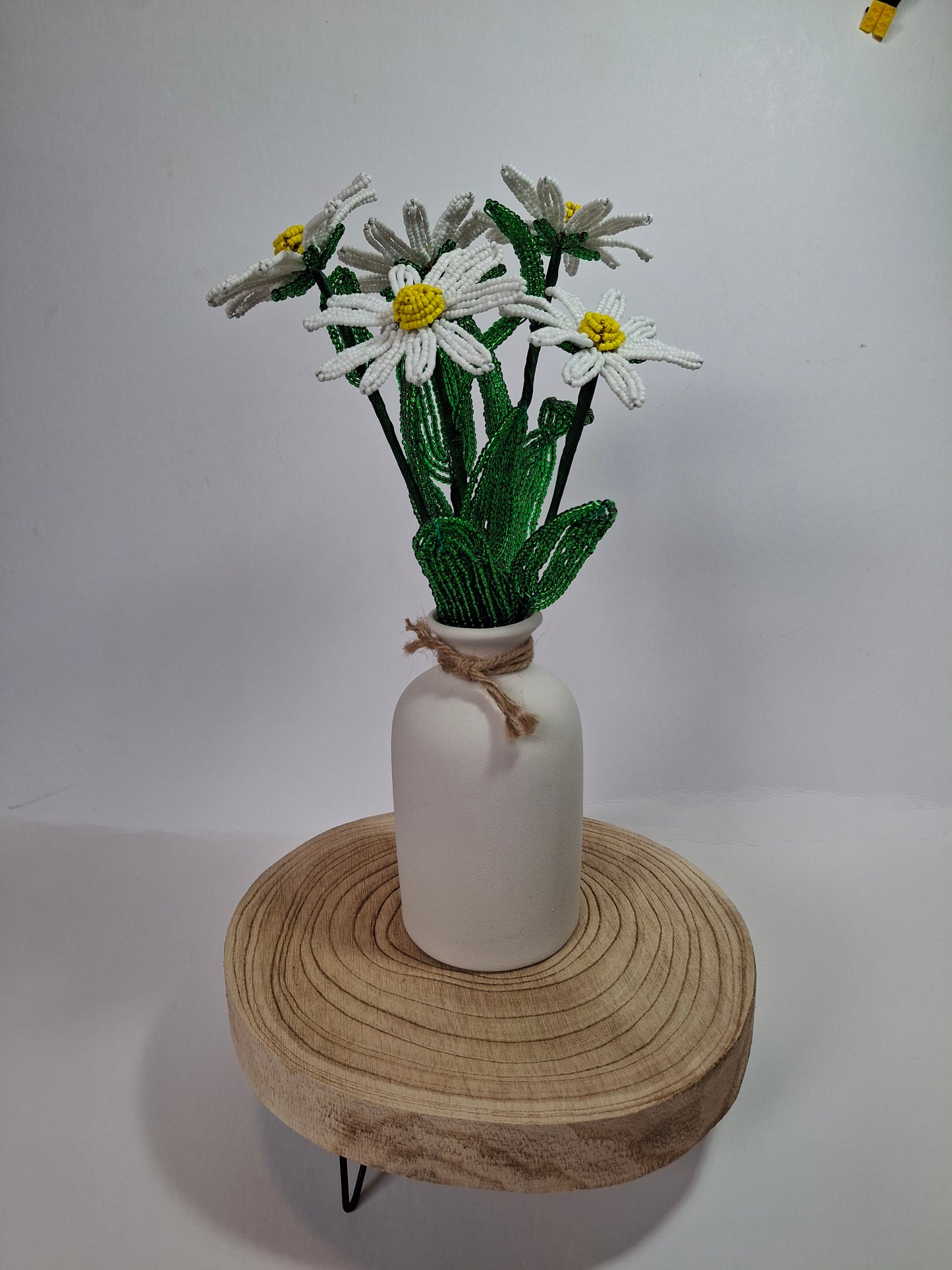 Daisies in Vase