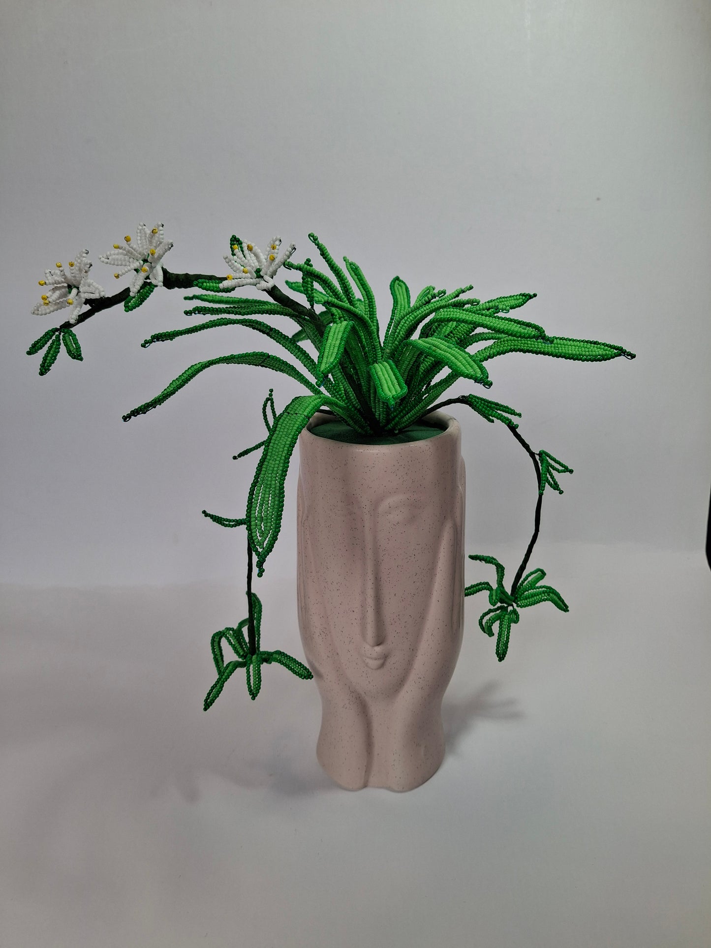 Spider Plant in Thinking Face Planter