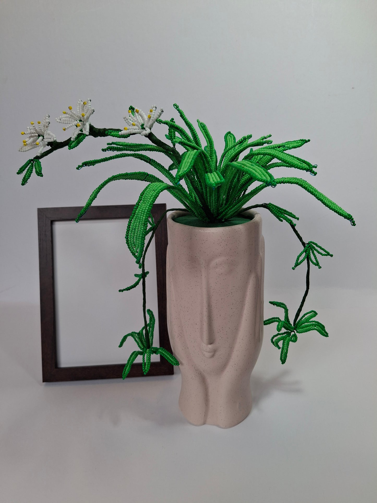 Spider Plant in Thinking Face Planter