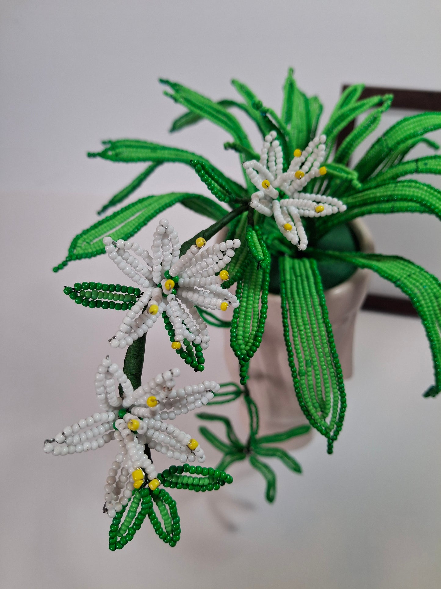 Spider Plant in Thinking Face Planter