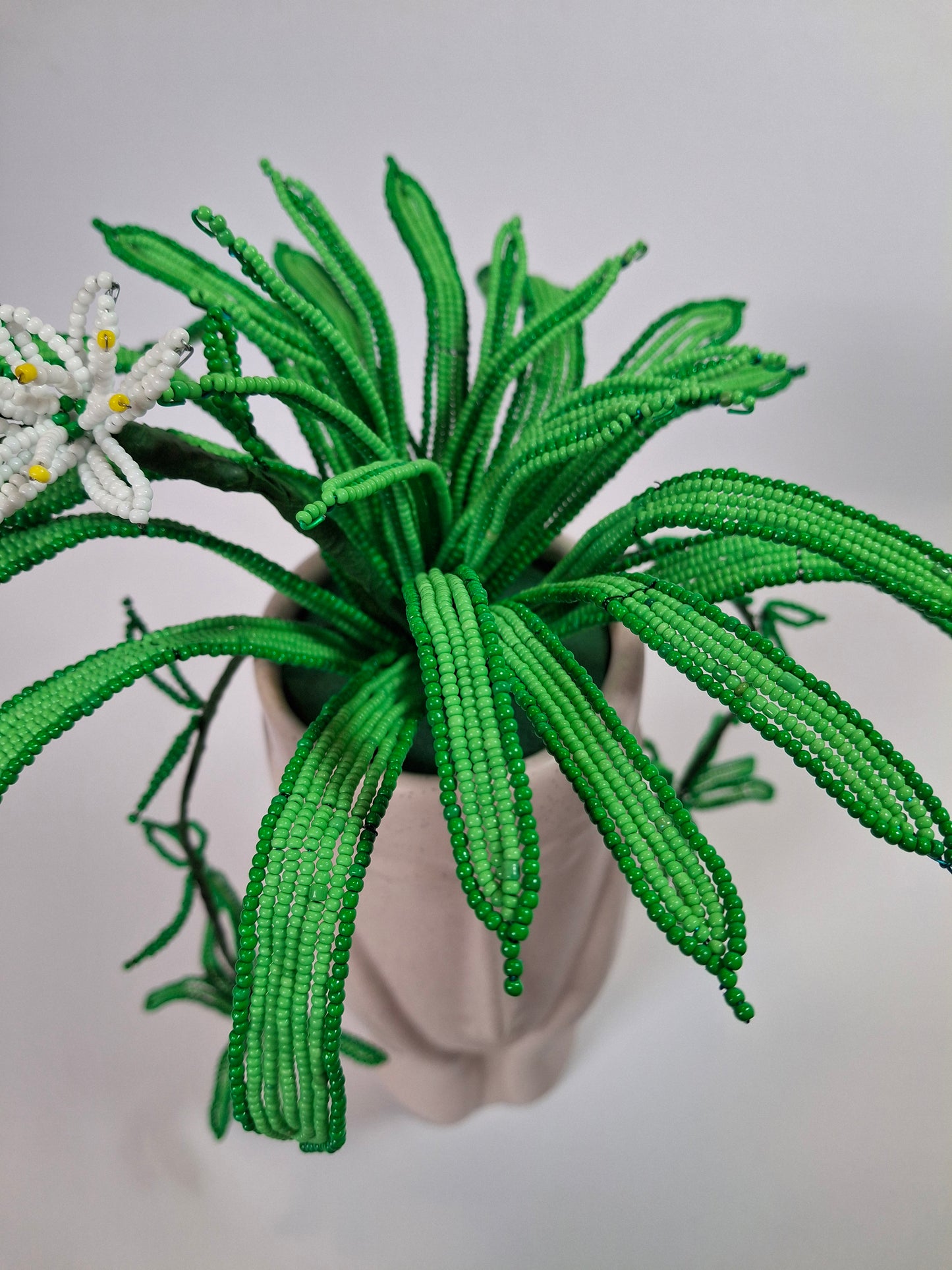 Spider Plant in Thinking Face Planter