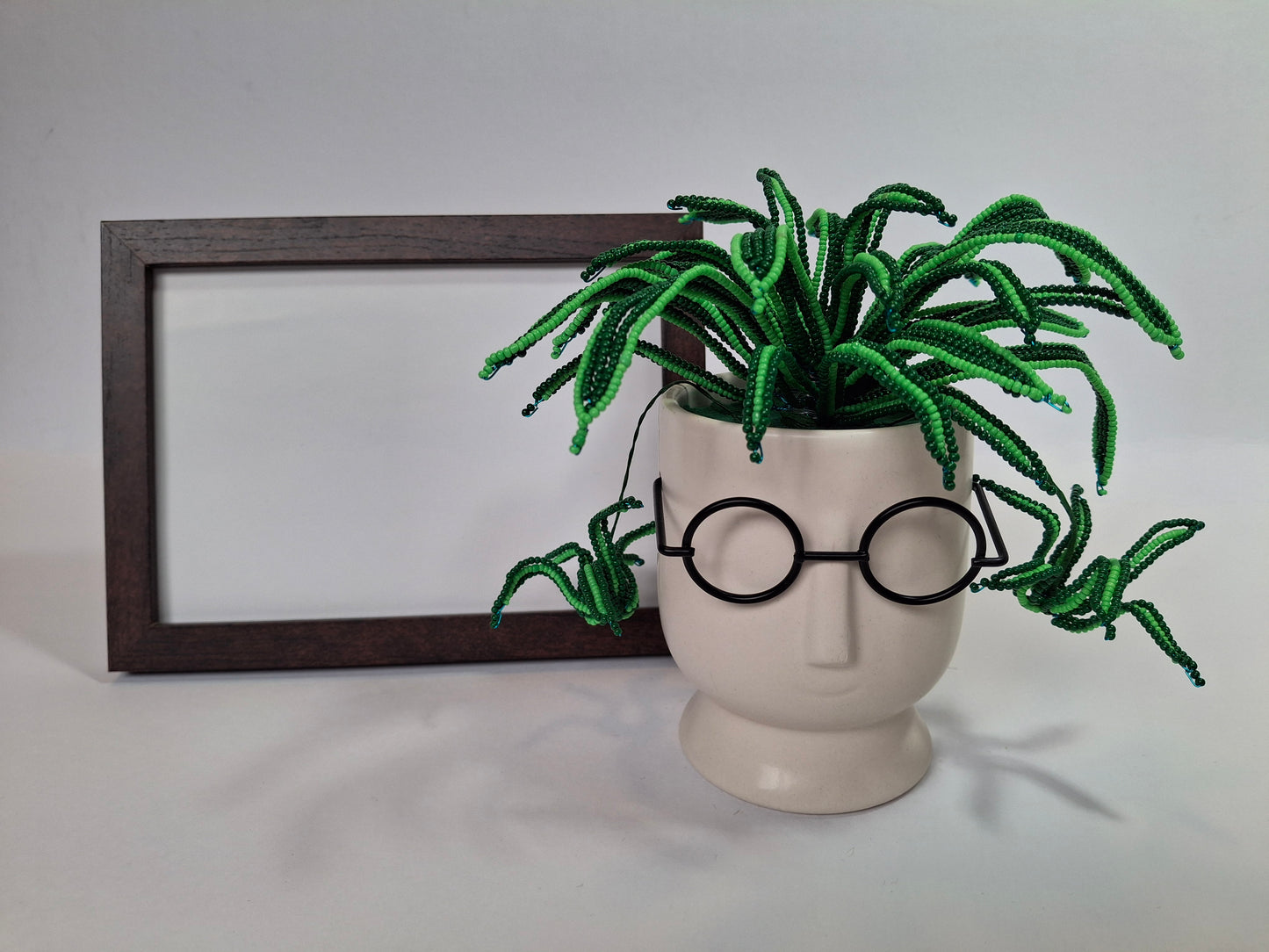 Spider Plant in Face Planter - Small