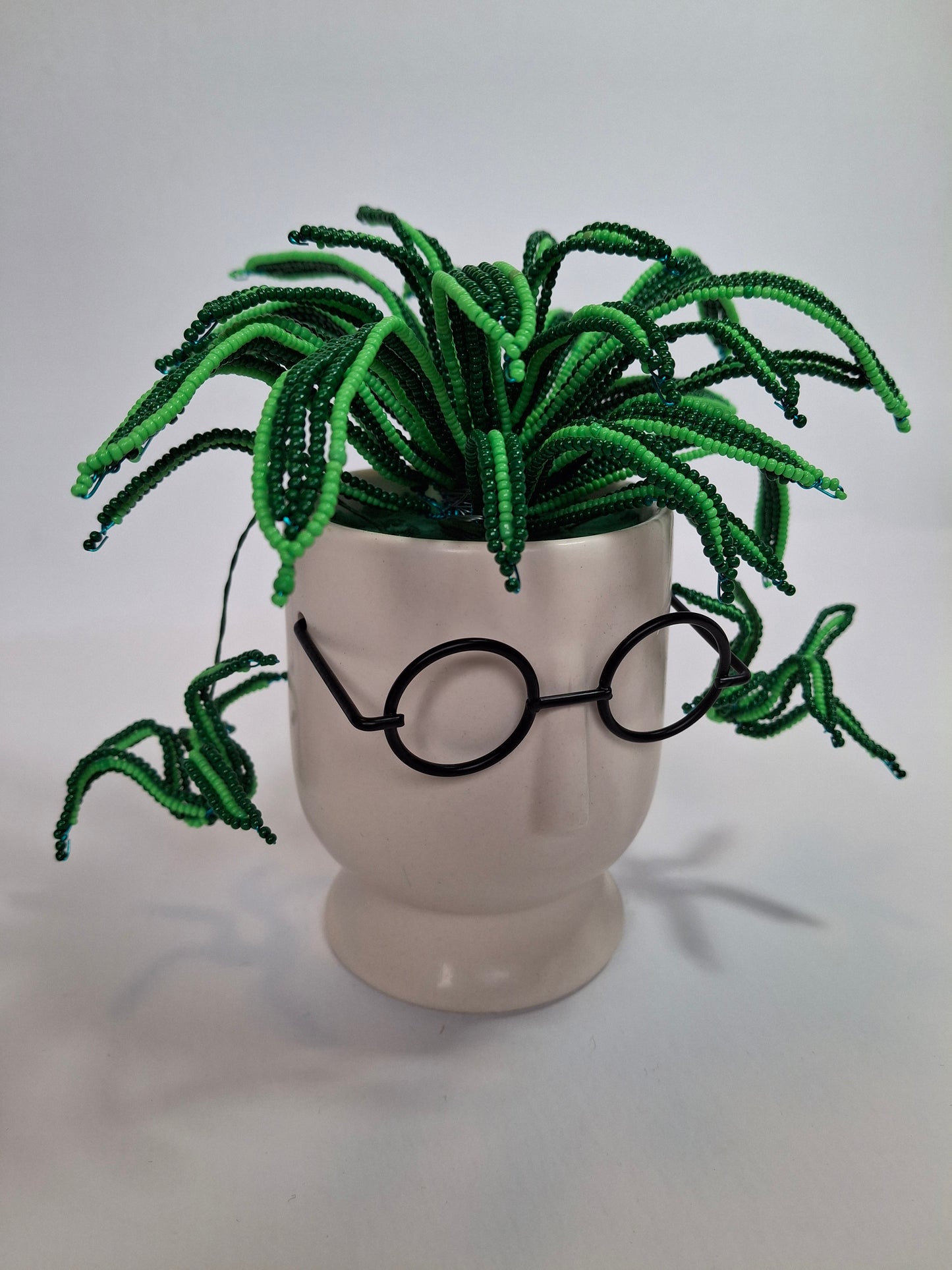 Spider Plant in Face Planter - Small