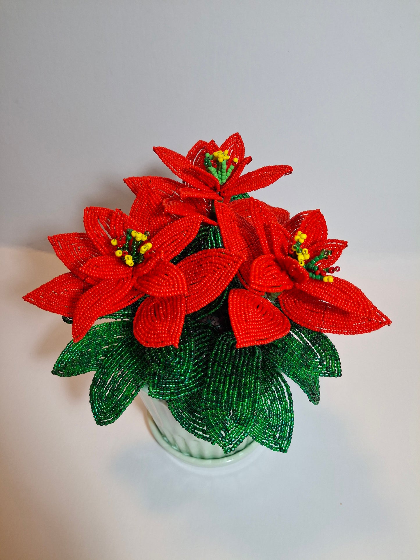 Poinsettia - Medium