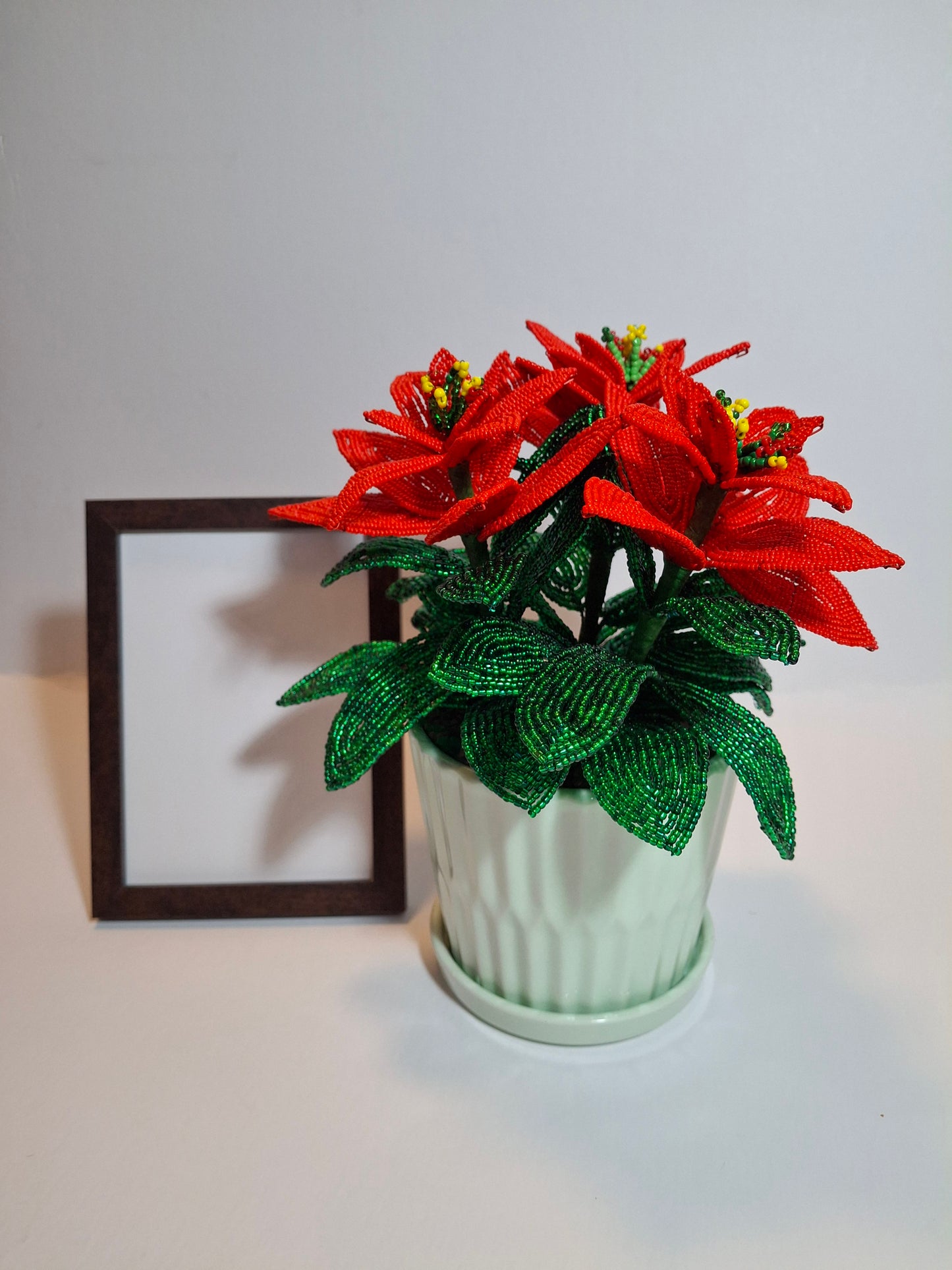 Poinsettia - Medium