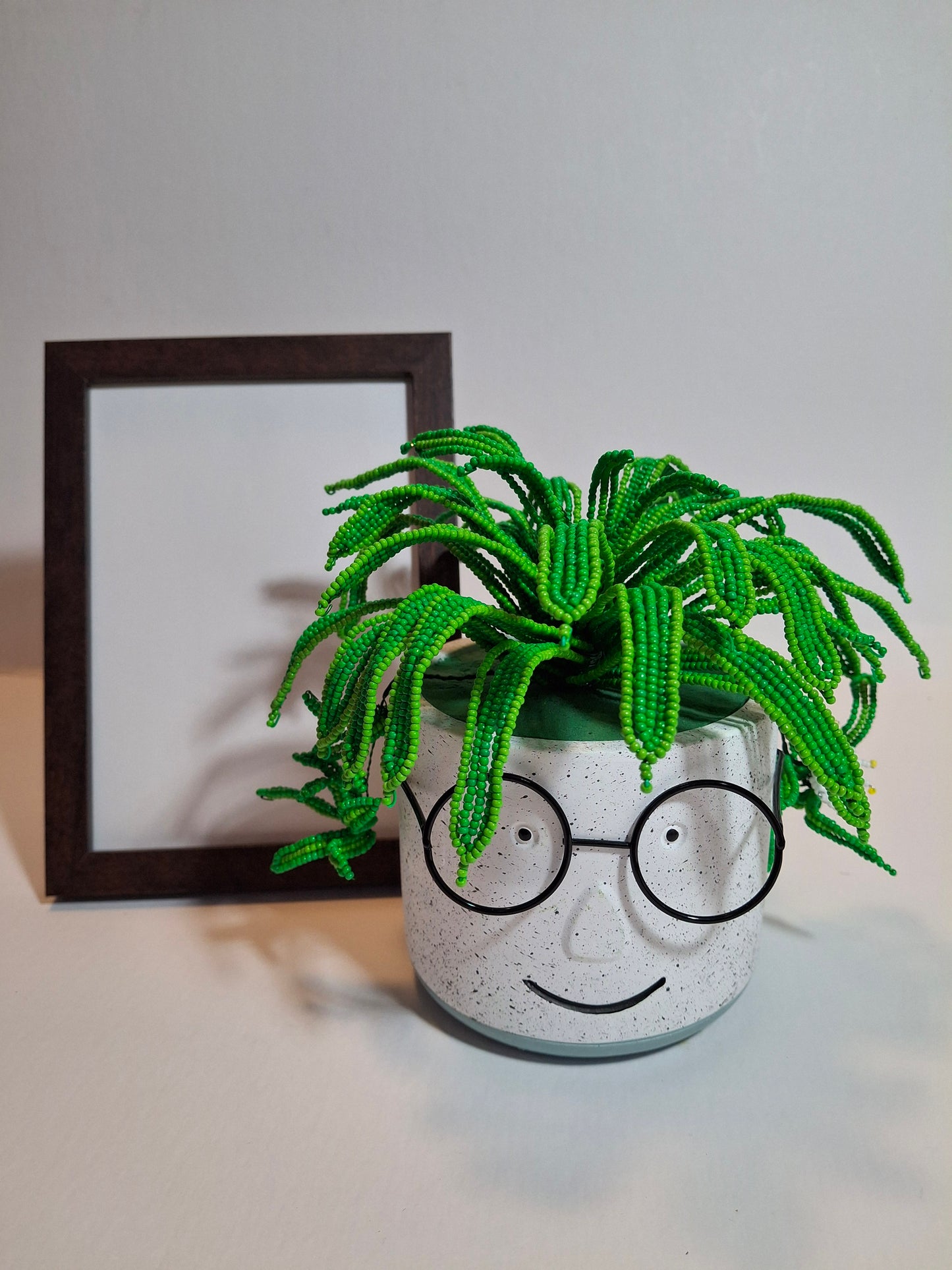 Spider Plant in Face Planter - Wide