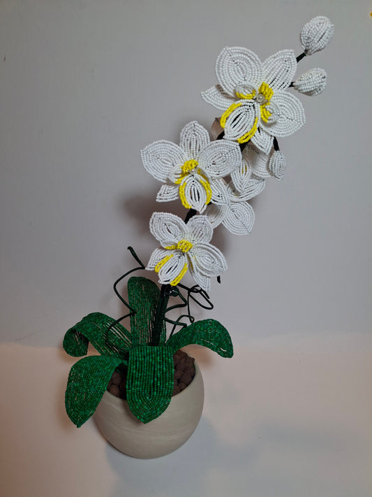 French-beaded White Orchid - Five Blooming Flowers